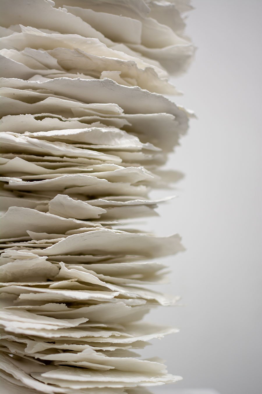 00305DSC_Materia Inscripta 02_detail_E_web.jpg