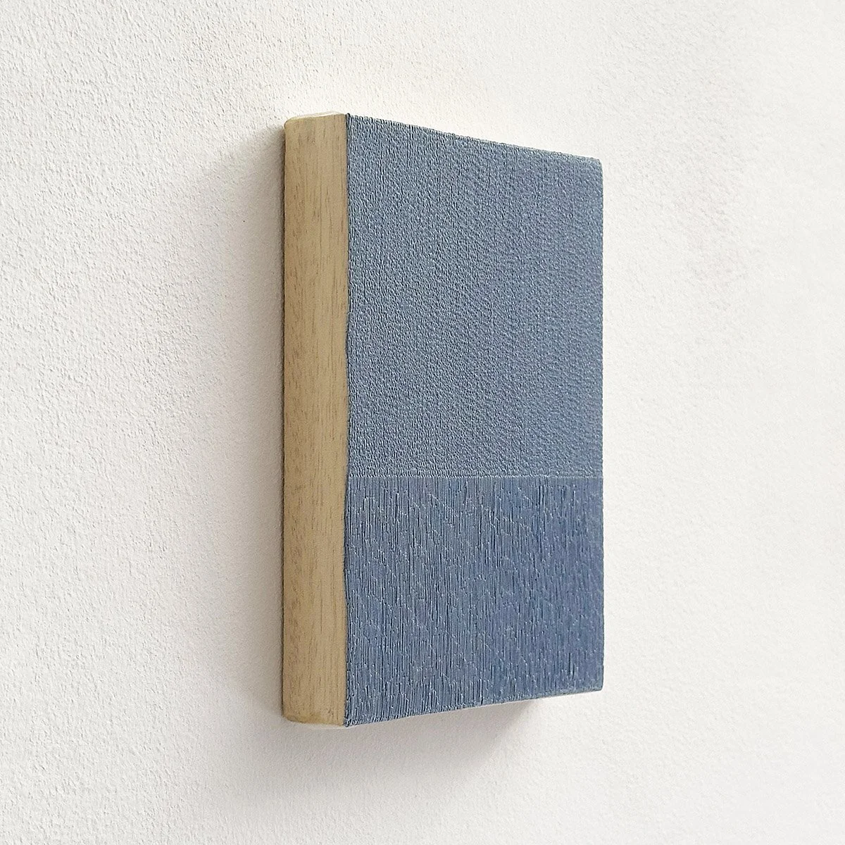 00257CCT_Blue I_left_A_web.jpg