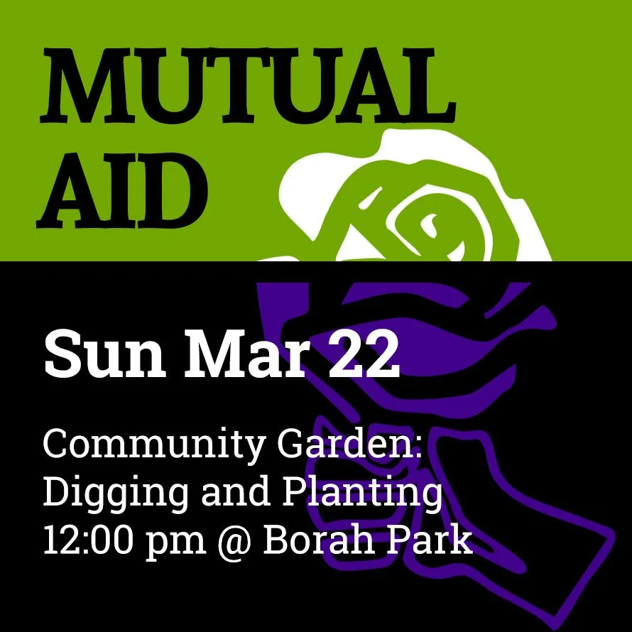 Community Garden:  Digging and Planting 