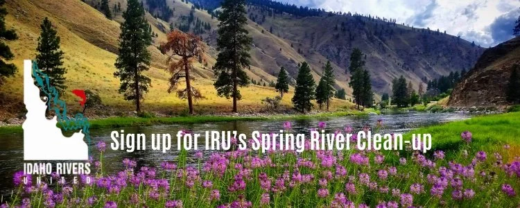 Mutual Aid: Idaho Rivers United's Annual Spring Clean-up