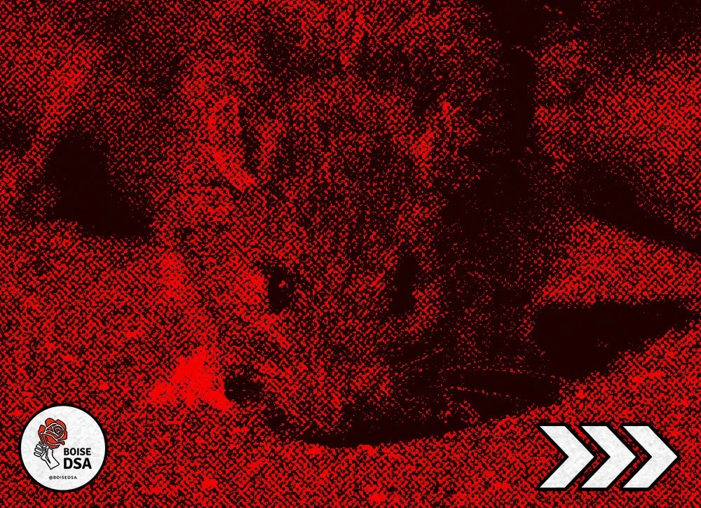 Norway Rats in the Treasure Valley 