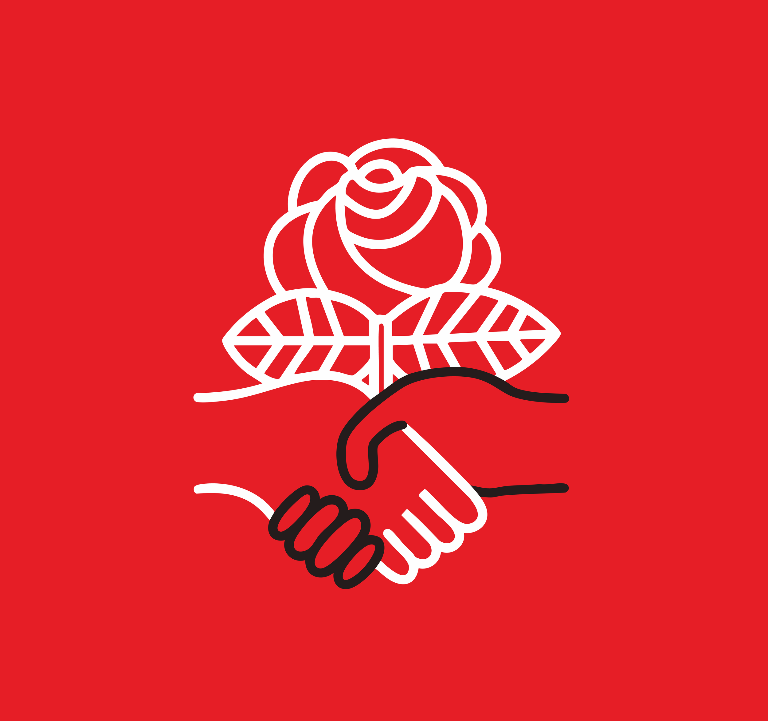 DSA Idaho State Convention