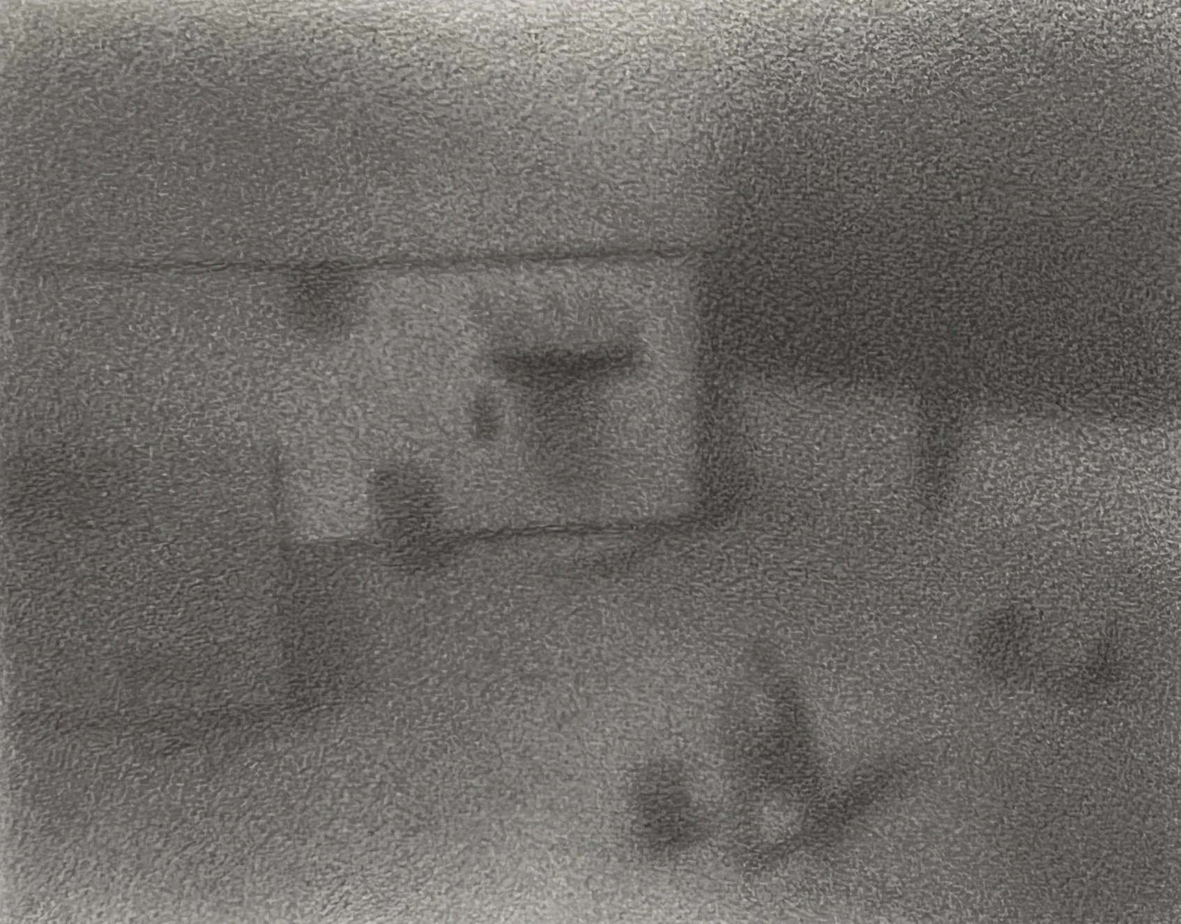Won't Leave the Yard || Graphite || 8 1/4"x 10 3/4" || 2026