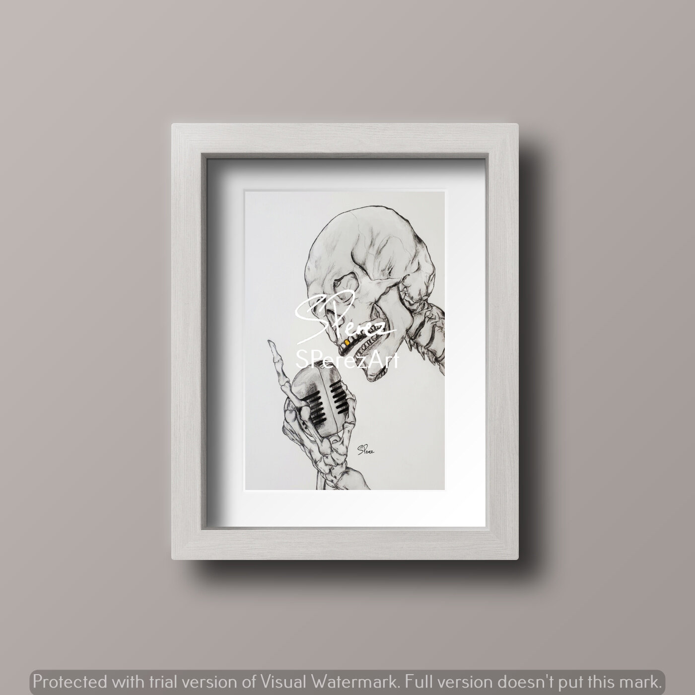 Skull Mic - Single Frame.jpg