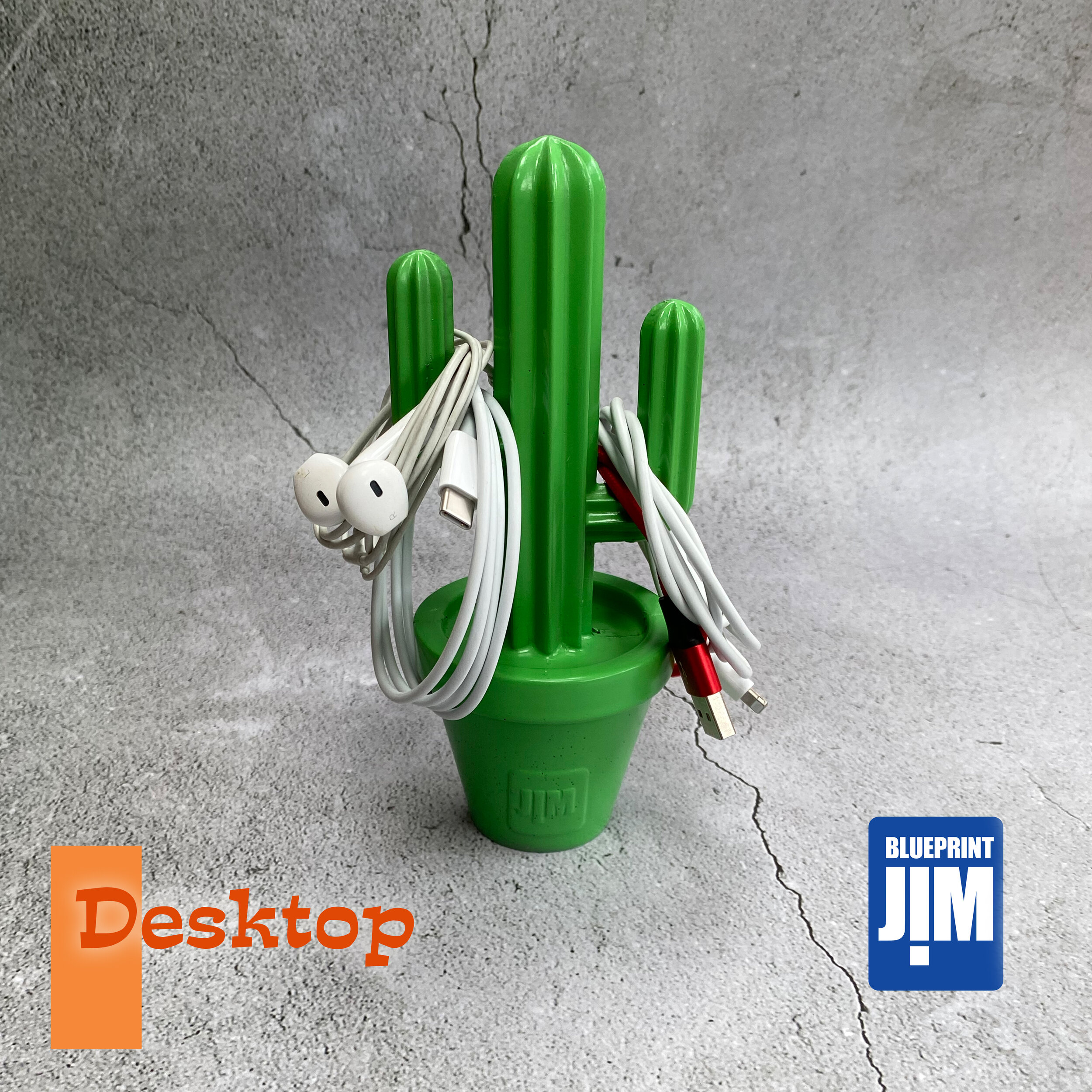 Cactijim