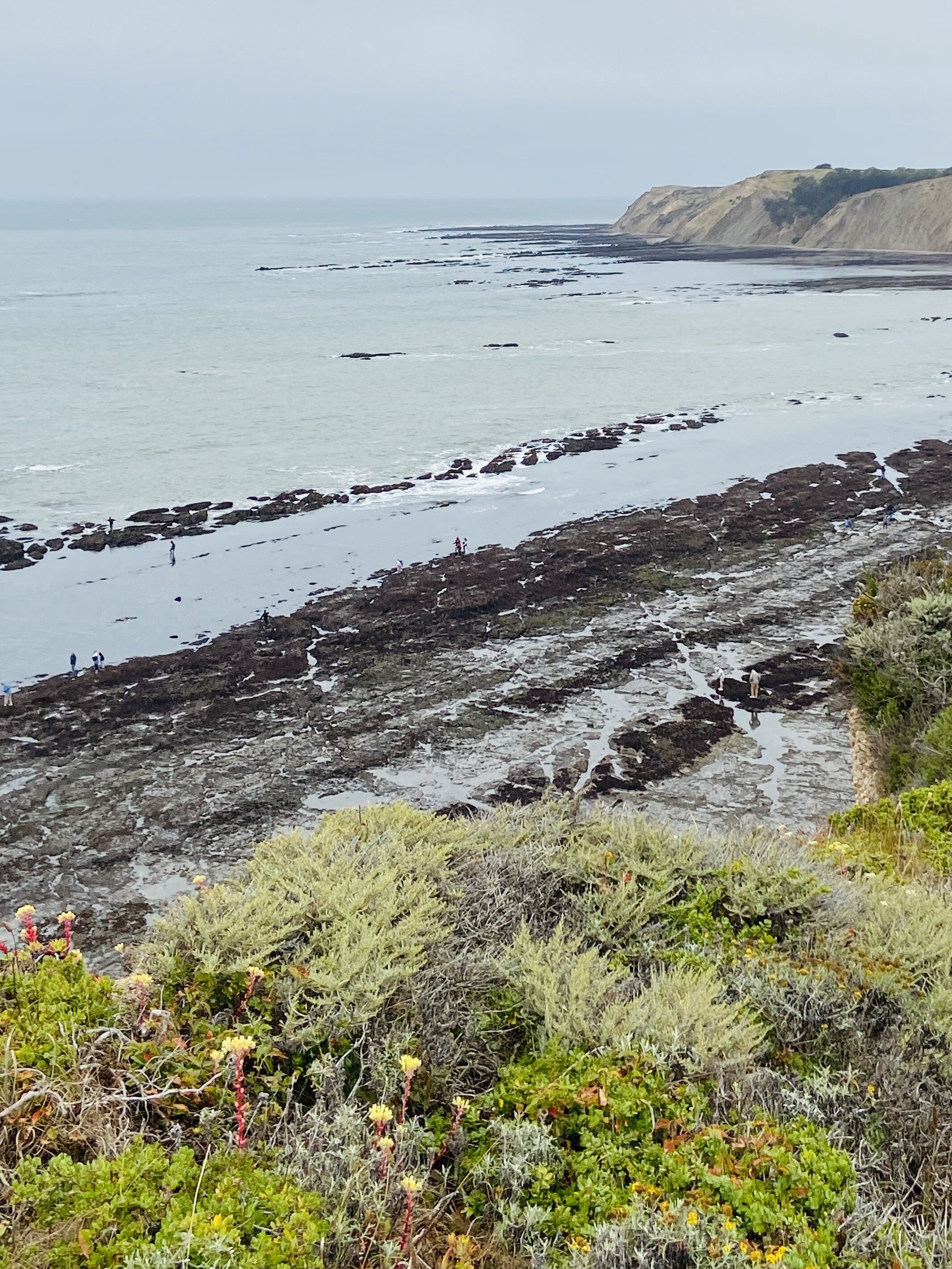 Agate Beach - Heartfelt Hike #2!