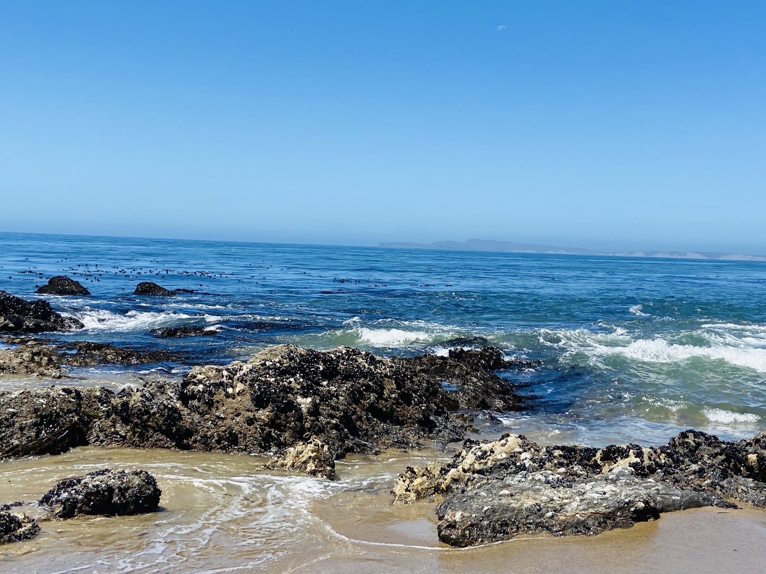 Heartfelt Hike along Limantour Beach