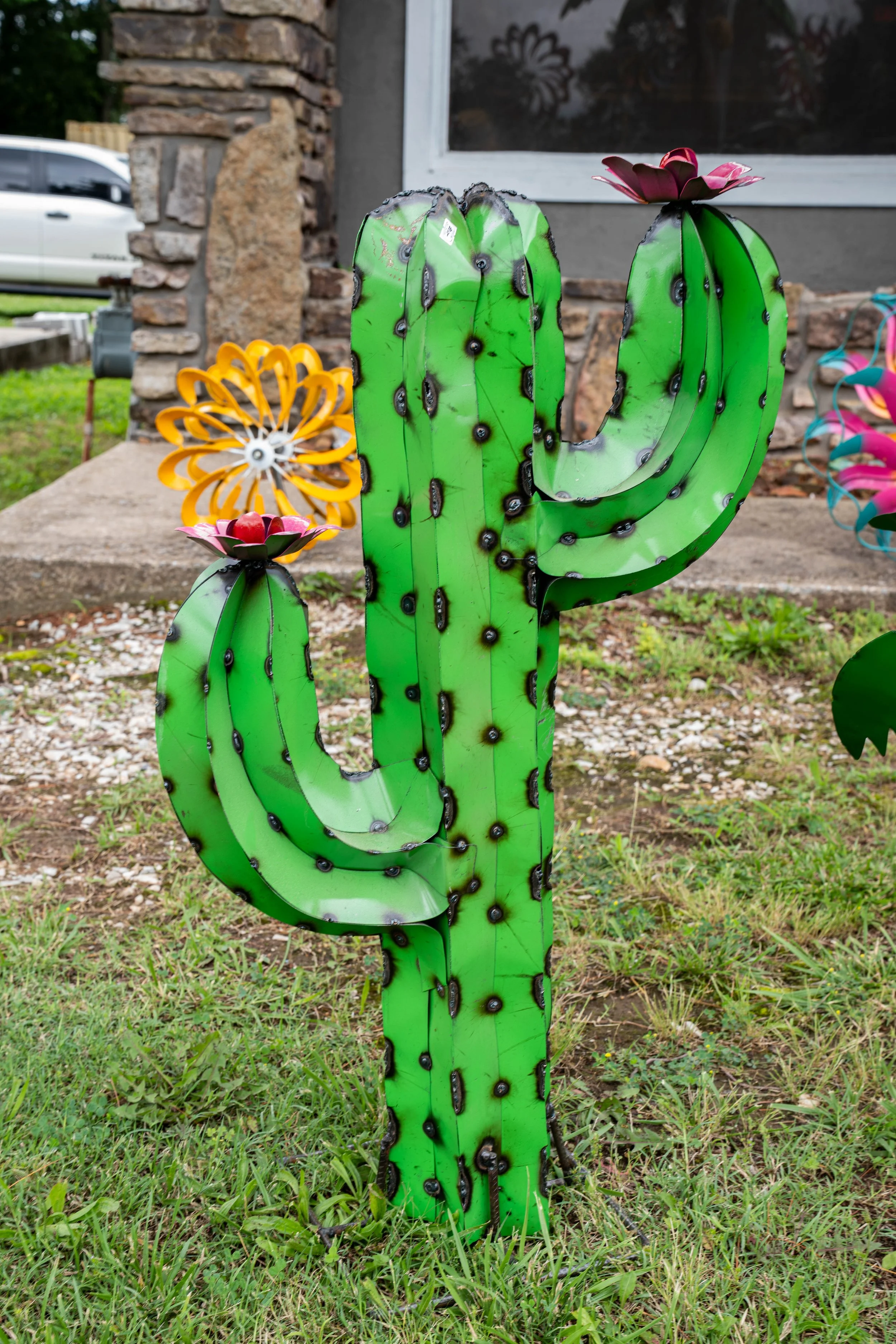 Cactus_Med_49.jpg