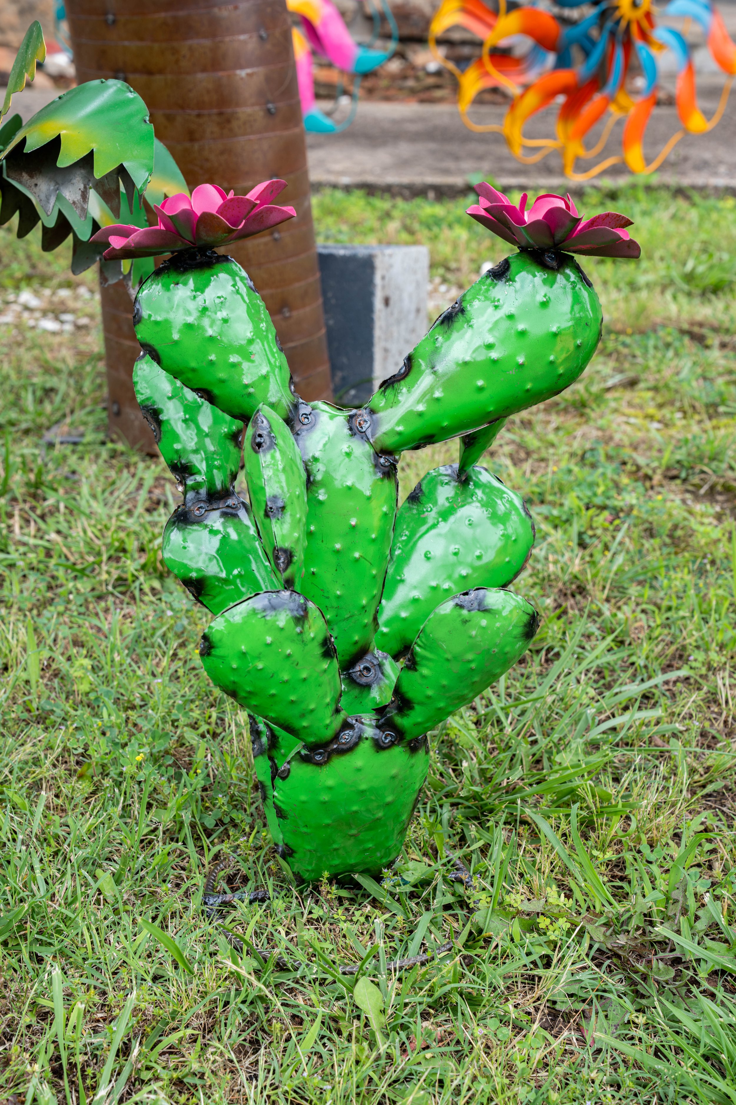 Cactus_Sm_39.jpg