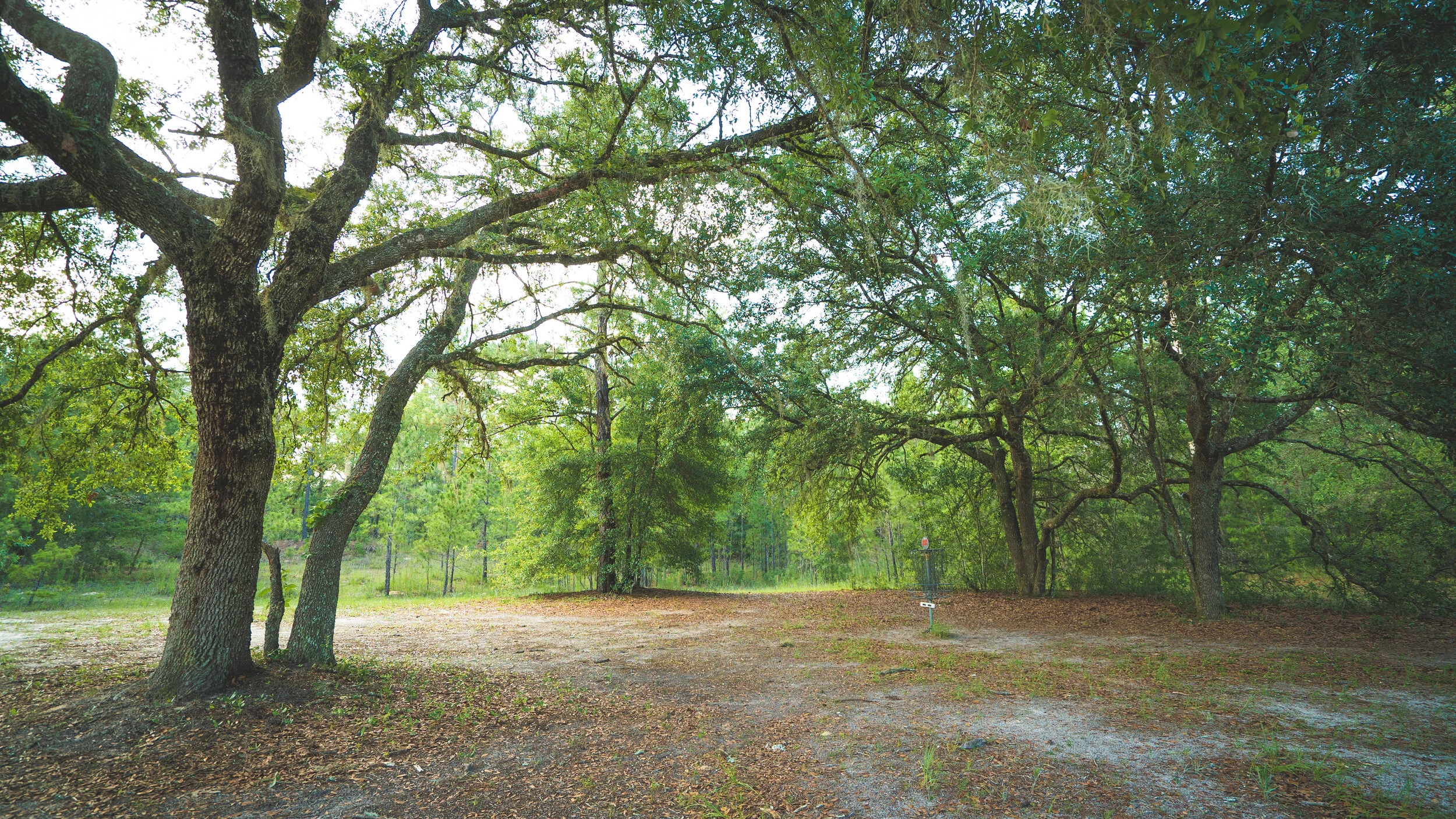 Gallery 2 OCALA GREENWAY DISC GOLF COURSE