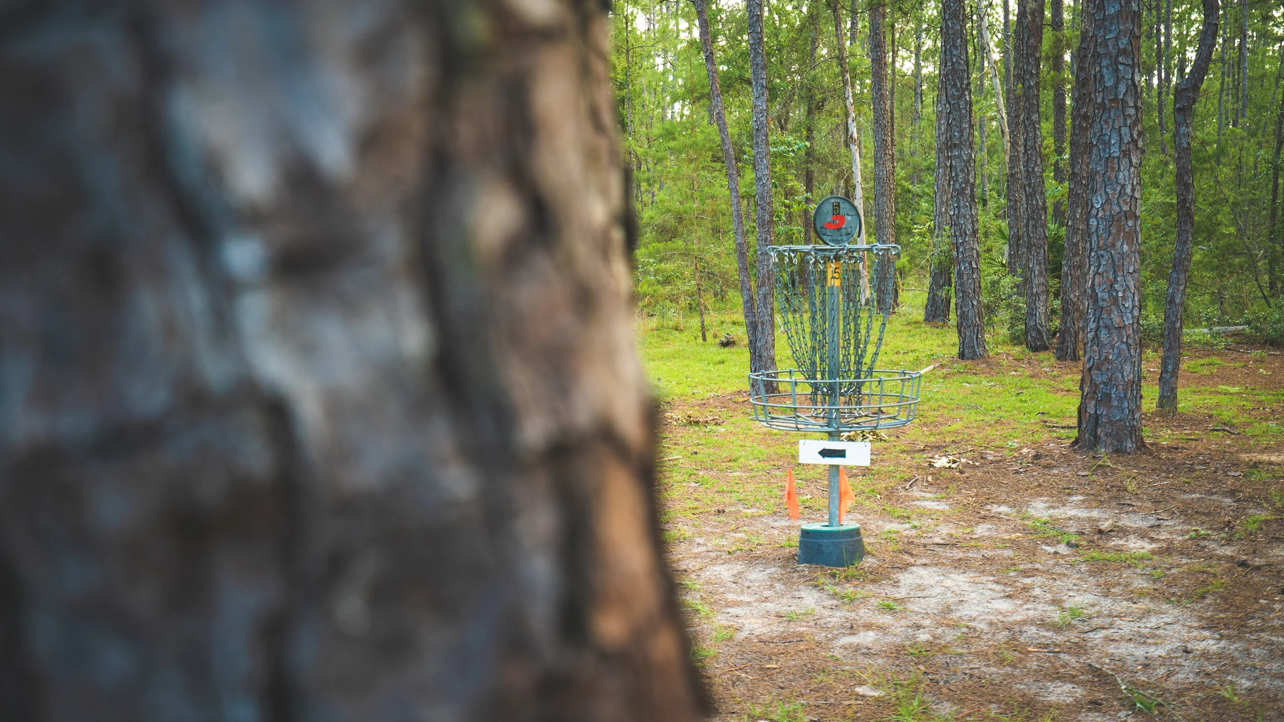 Gallery 2 OCALA GREENWAY DISC GOLF COURSE