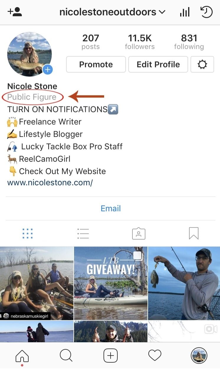 How to Become an Instagram Public Figure — Nicole Stone