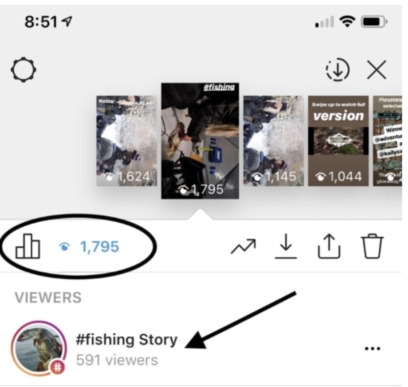 instagram story viewers