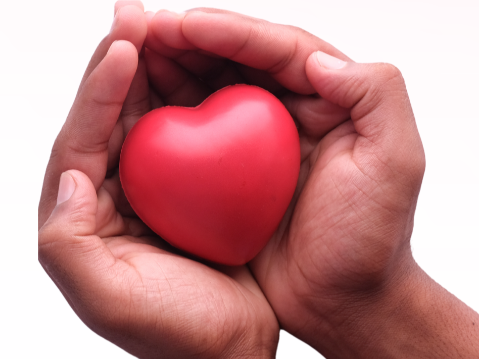 Love Your Neighbor Food Drive
