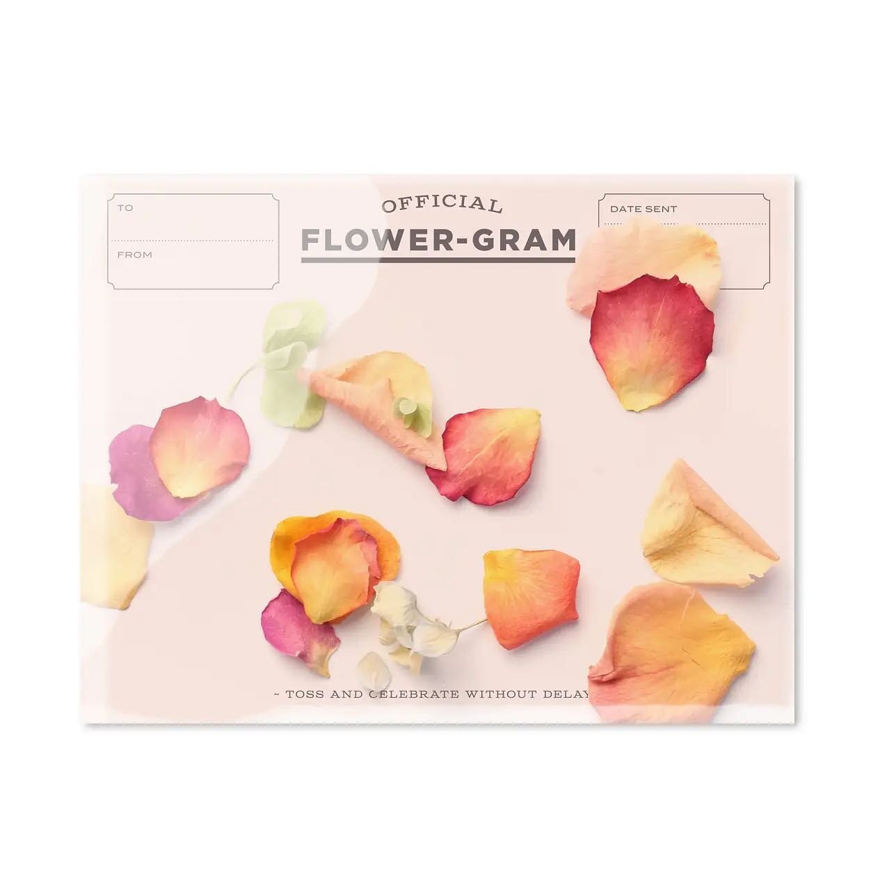 you can send this flowergram in the clear envelope it comes in! send some peony + rose +  hydrangea petals to someone you love 🌸

this card is part of the jan//feb//march collection! subscribe before the end of the month to snag it. 

image + art: @