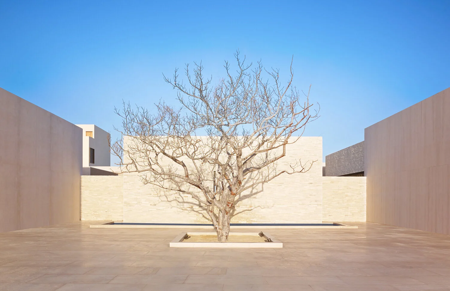 tree in the middle of stone courtyard, luxury travel advisor, Ragan Stone Travel