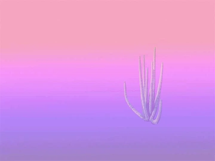 Cactus Loop2 for Gif-Recovered.jpg