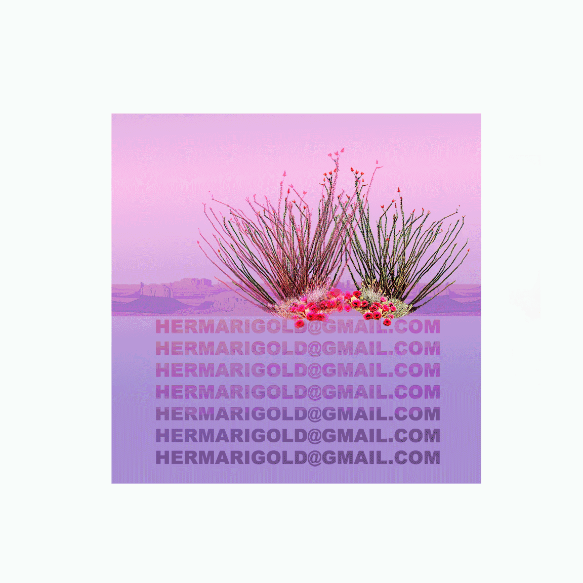 Contact GIF2small.gif