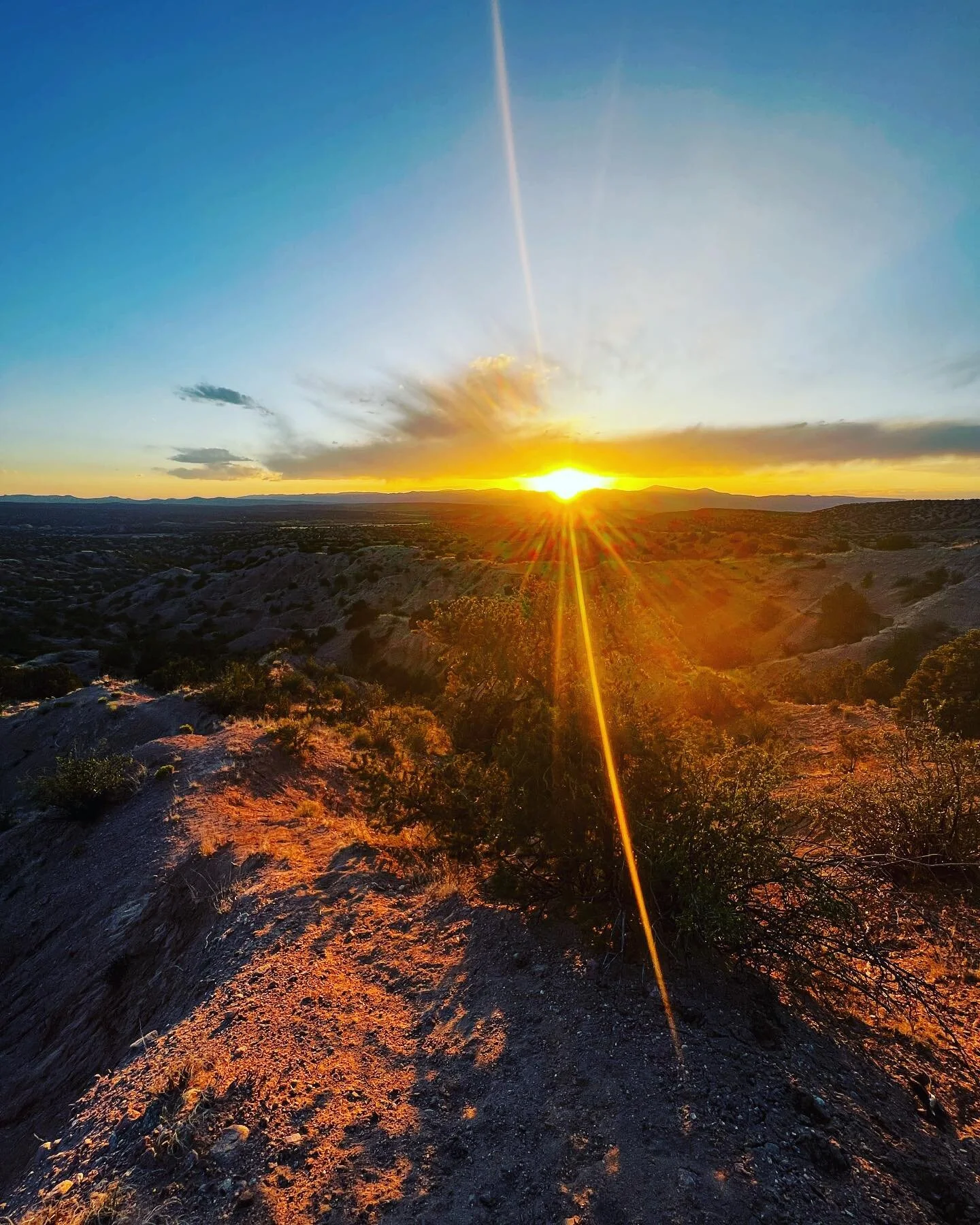 &ldquo;I have come to conclude that, ultimately, it is about catching light in the dark. Poetry (and other forms of writing) can be useful as a tool for finding the way into or through the dark.
Or a device with which to admire the complexity of the 