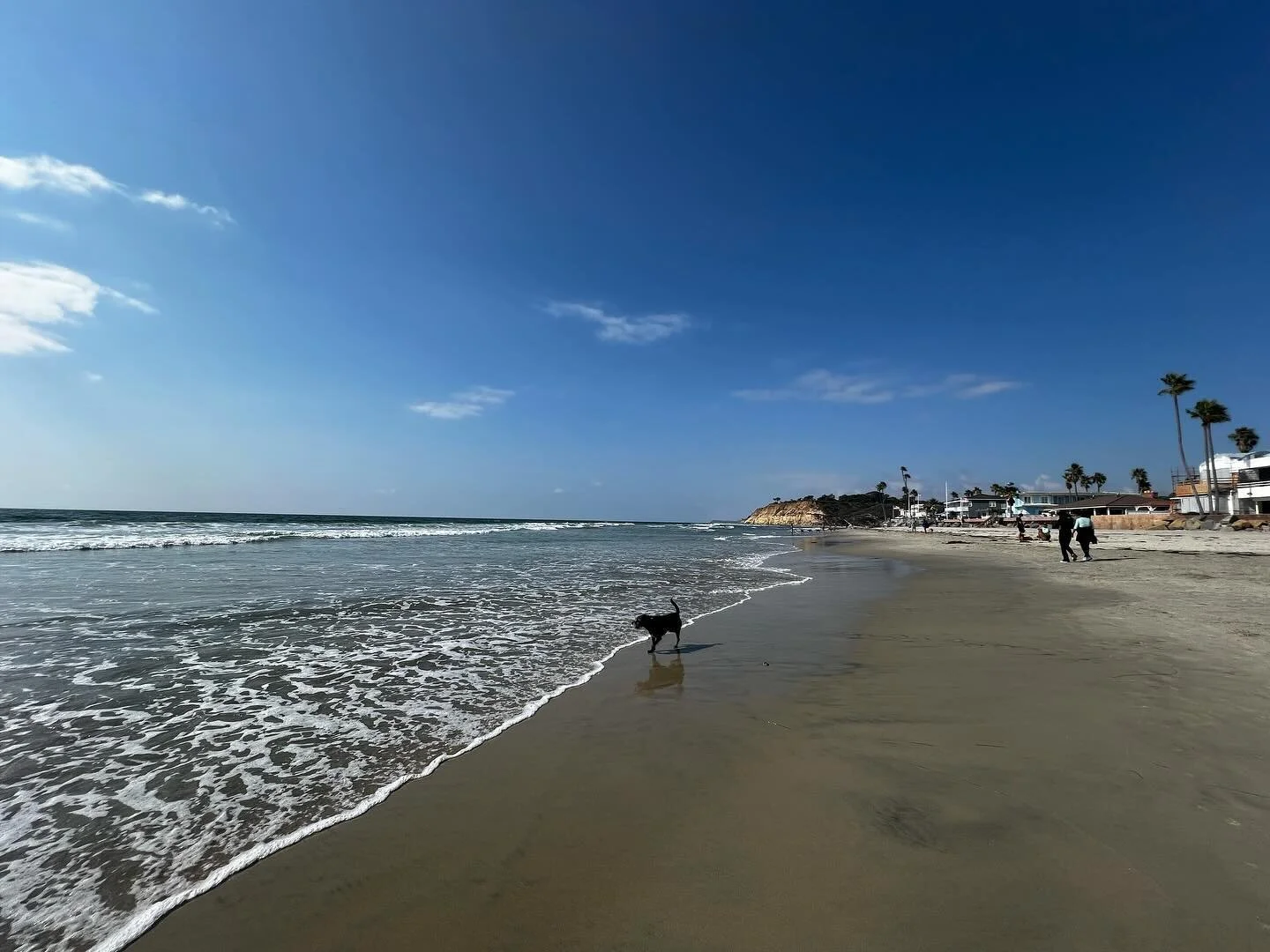 #grateful ❤️🙏🏻🌊