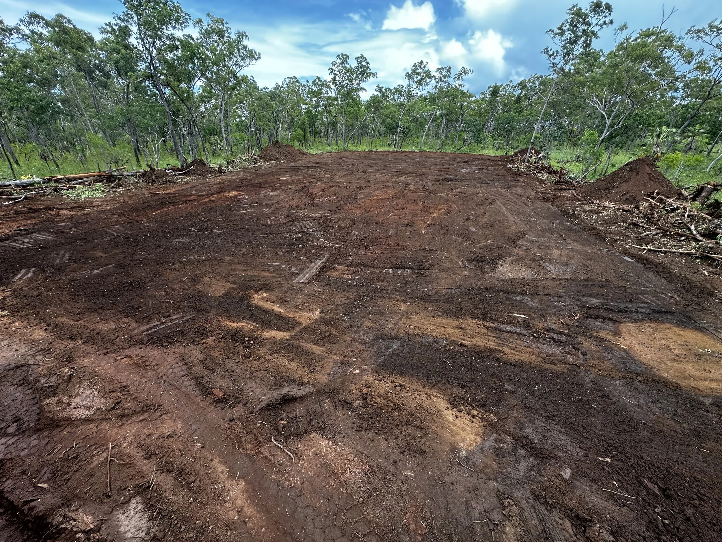 Clearing BI 3 (1).jpeg