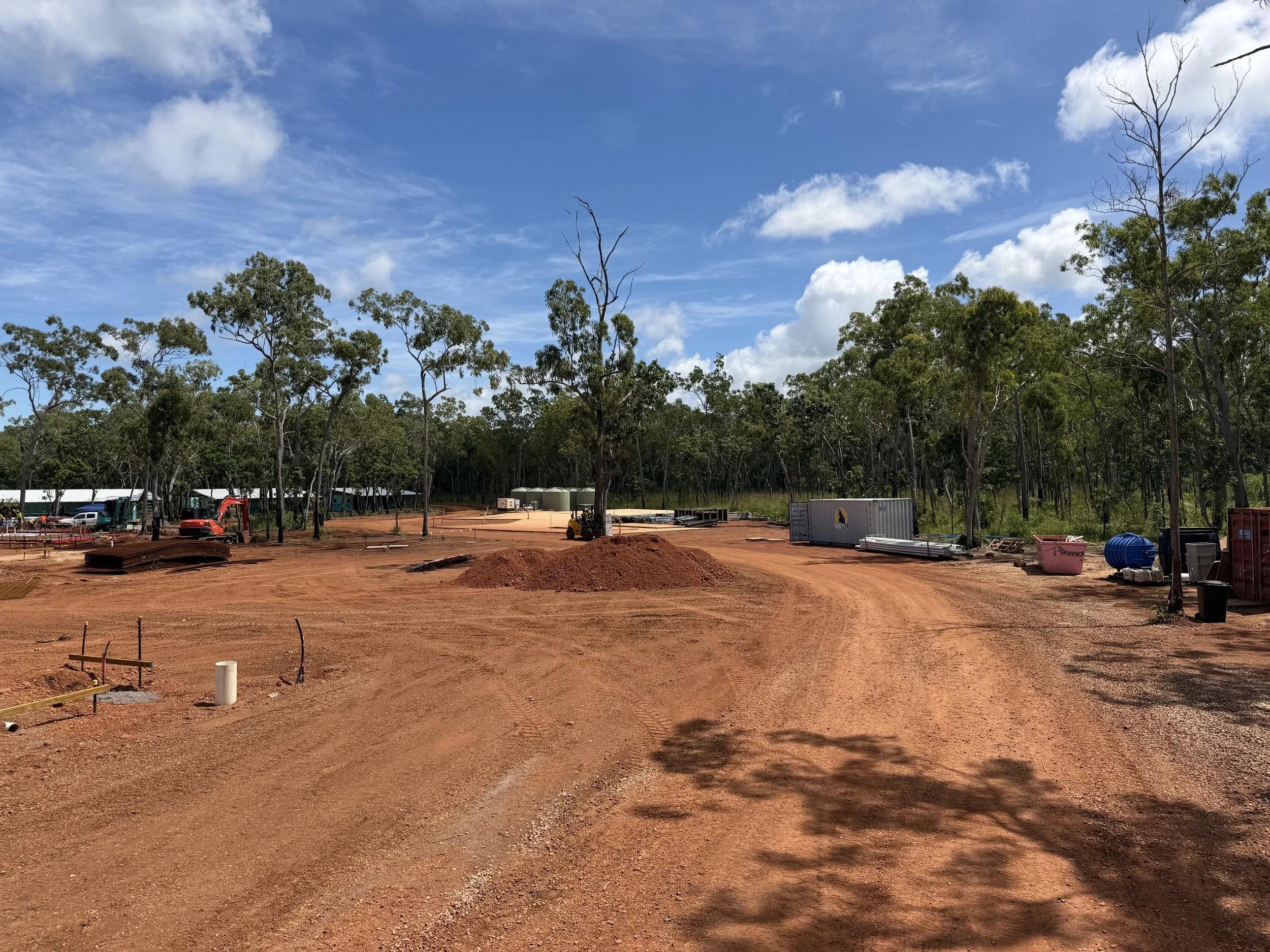 clearing of site BI (1).jpeg