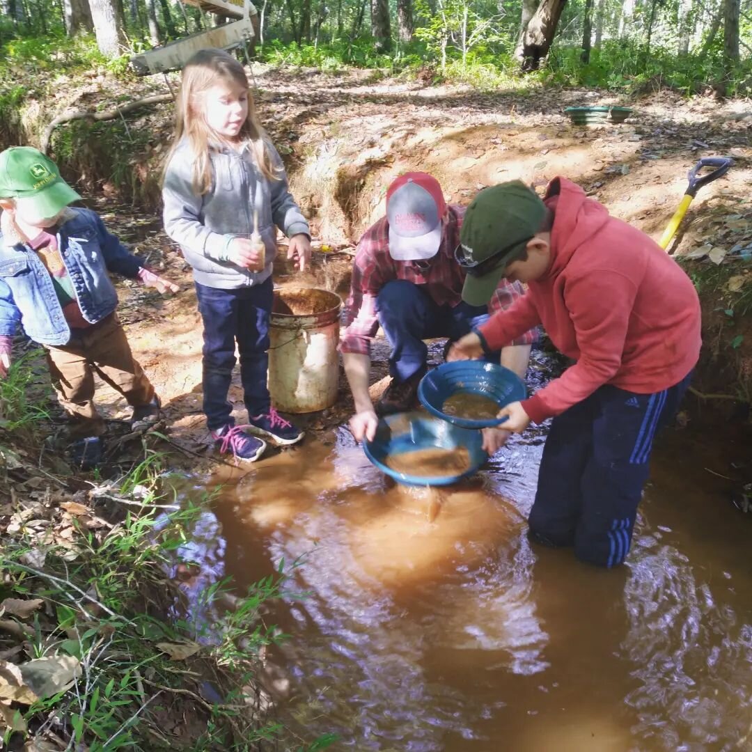We might be on fall break, but that doesn't mean we aren't still learning this week! We took homeschool on the road today and ended up at NC Treasure Hunter's Campground where we got to pan for gold in the creek (we found some gold dust 😅), and tour