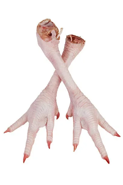 turkey feet.webp (Copy)