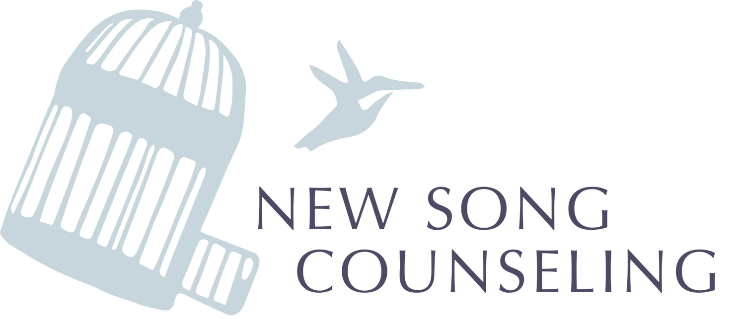 New Song Counseling