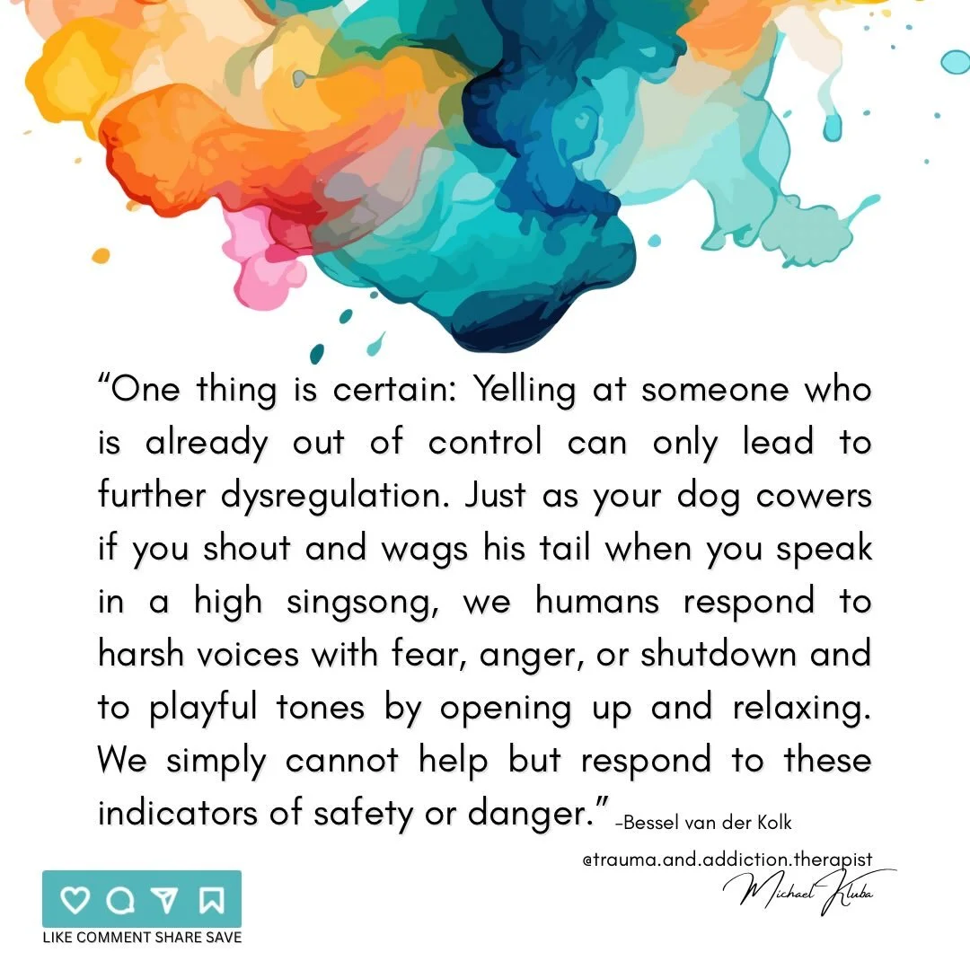 🔸Yelling at someone, shaming them, and/or forcing them to do something they do not want - or are unable - to do, only exacerbates the not doing it.

&bull;Quote by: @bessel_van 

#trauma #shame #interpersonal #dysregulation #safety