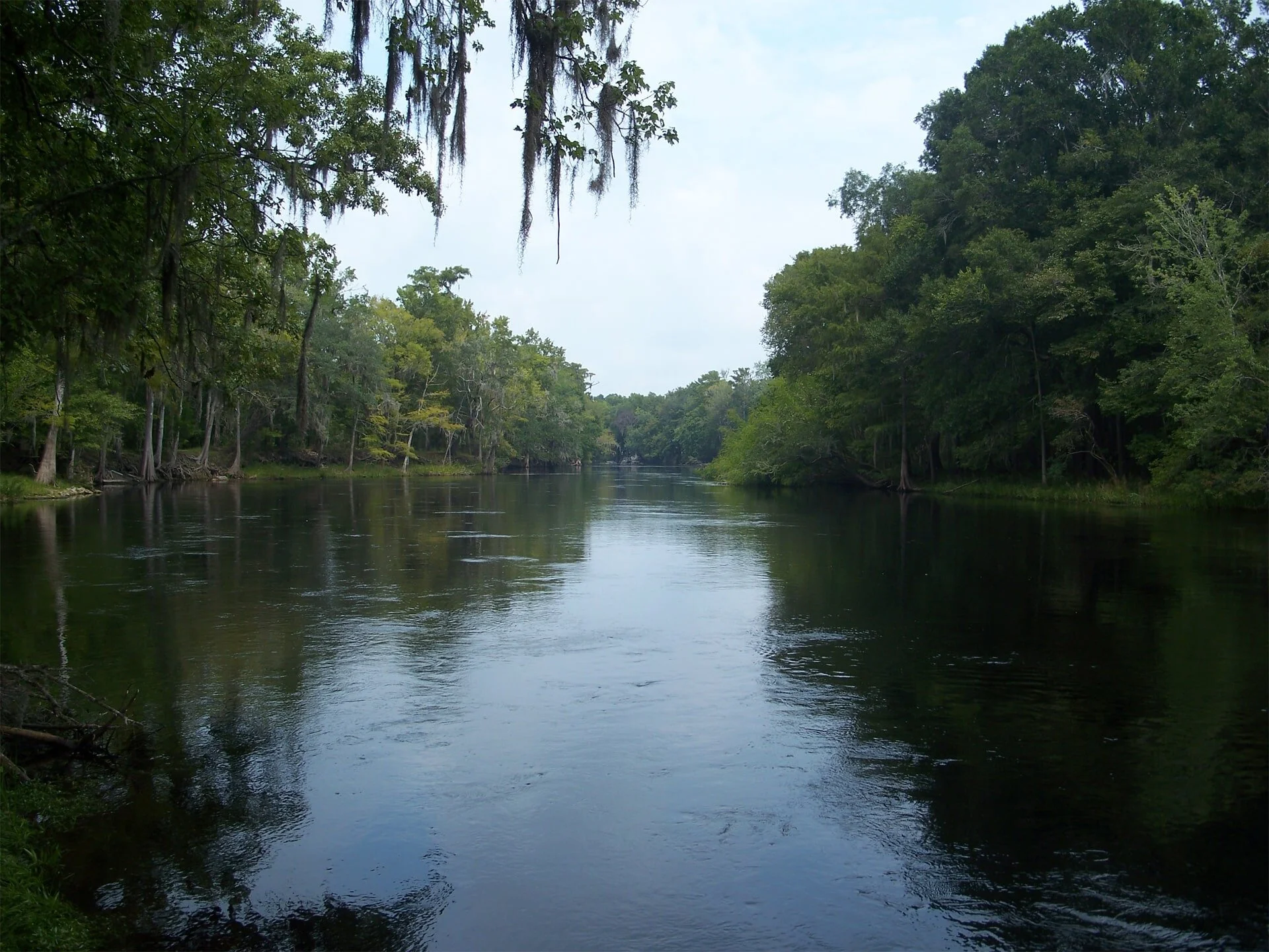 suwannee_river_background-min.jpg