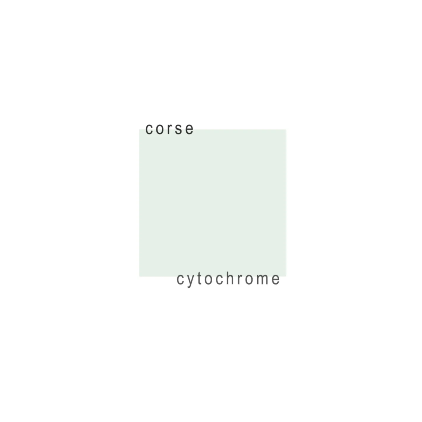 cytochrome-bandcamp.2.jpg
