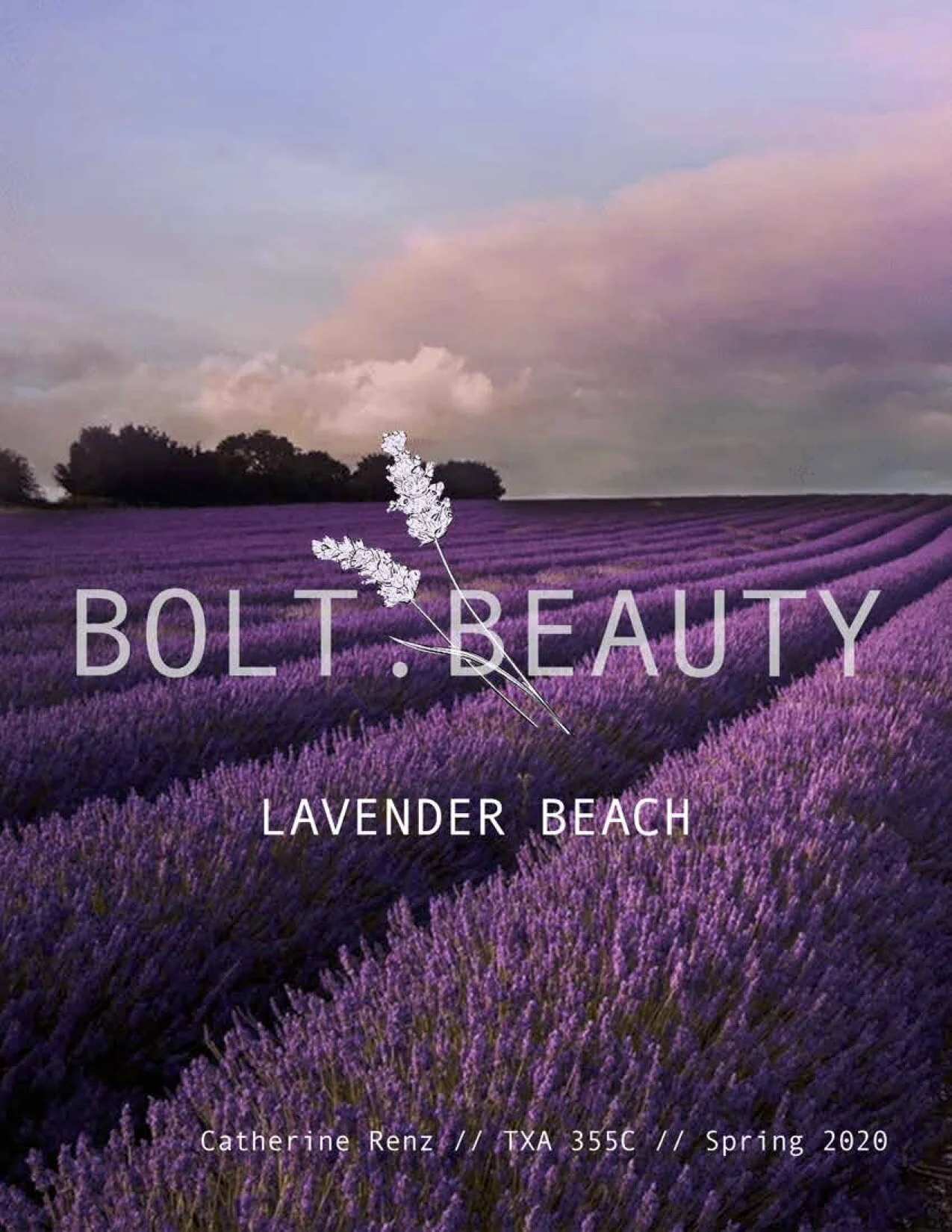 Bolt Beauty final version CAD .jpg