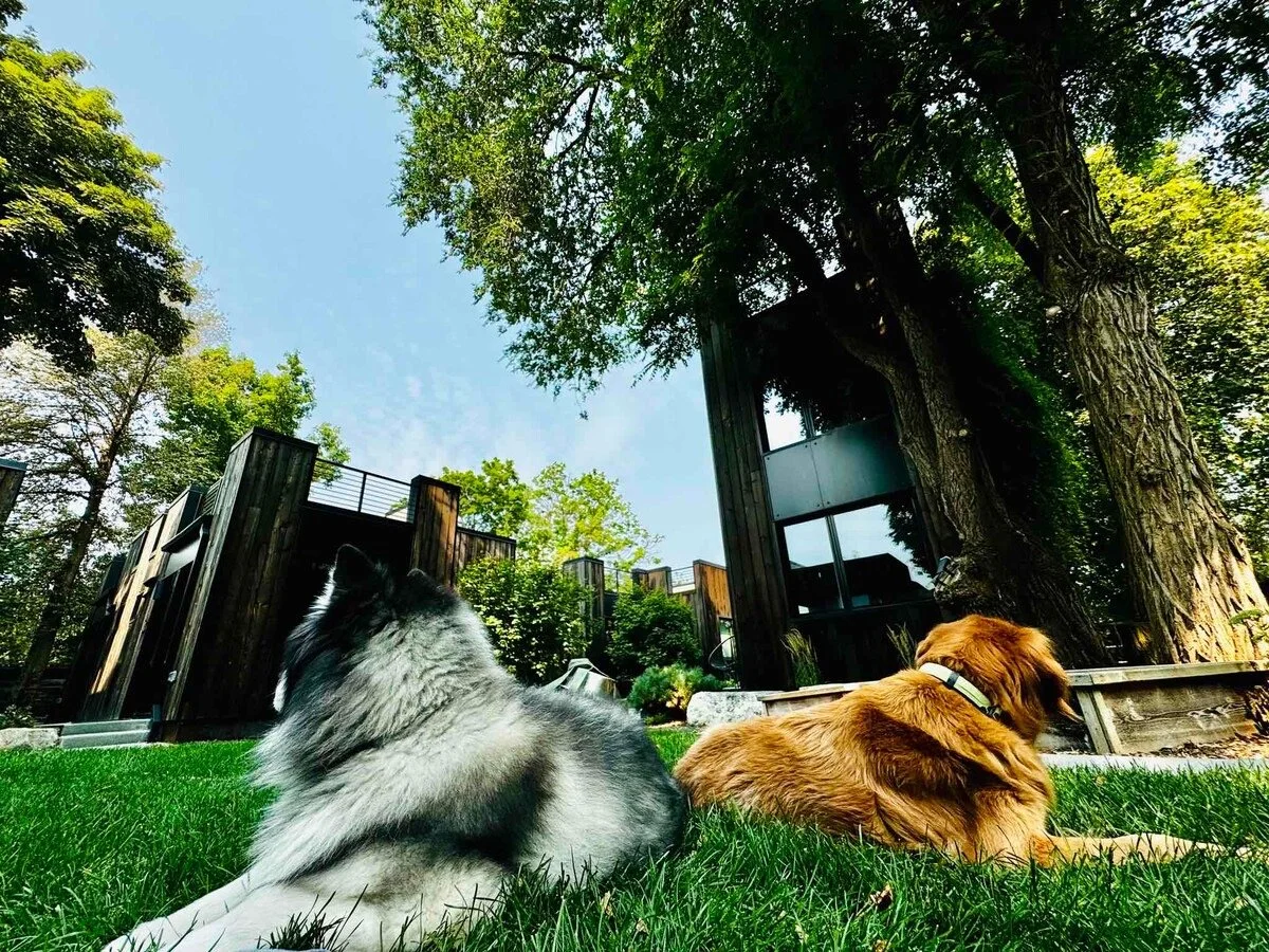 Pet-Friendly Stays in Spokane’s Perry District