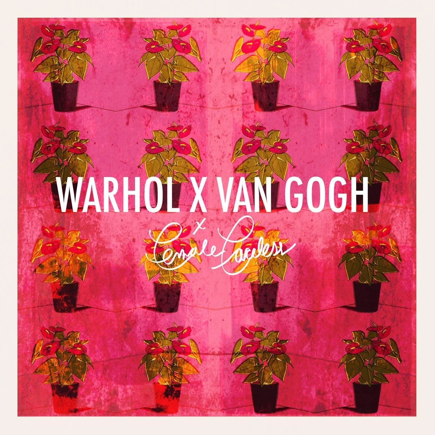 Pink background with illustrations of potted pink and yellow flowers arranged in a grid pattern. The text reads "Warhol x Van Gogh" and "Cargett Saddles".