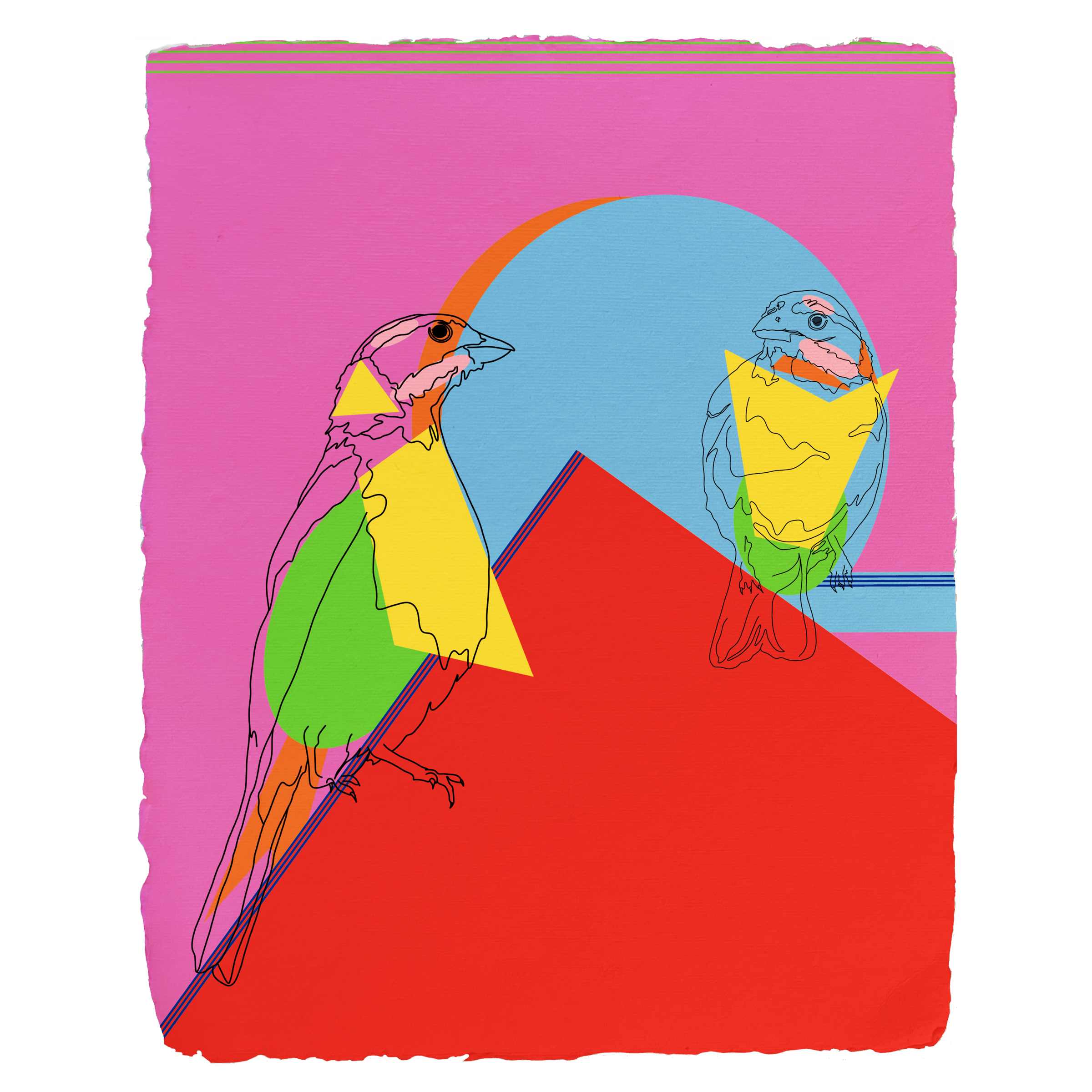 Abstract digital art of two colorful birds, facing each other, with a geometric background including a red triangle, blue circle, pink and purple areas, and green shapes, on a textured pink background.