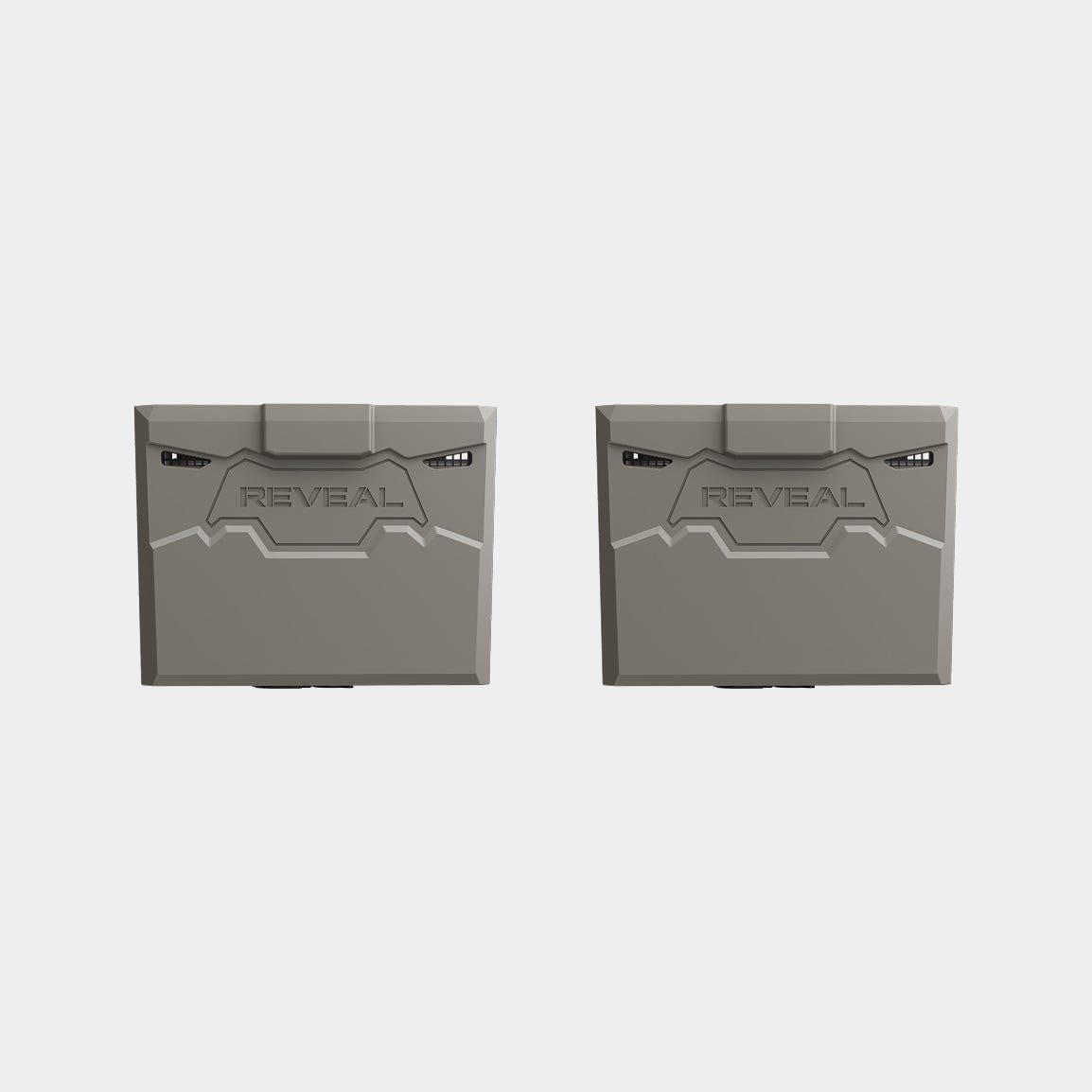01-r10-2pk-head-on.jpg