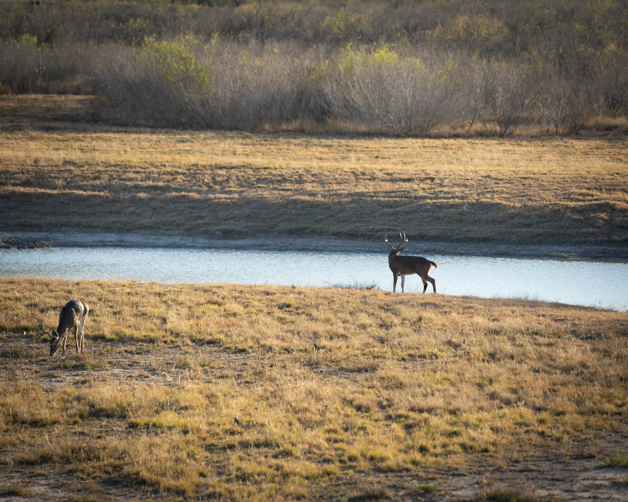 Take a Kid: A First Deer Plan for Youth Gun Weekend