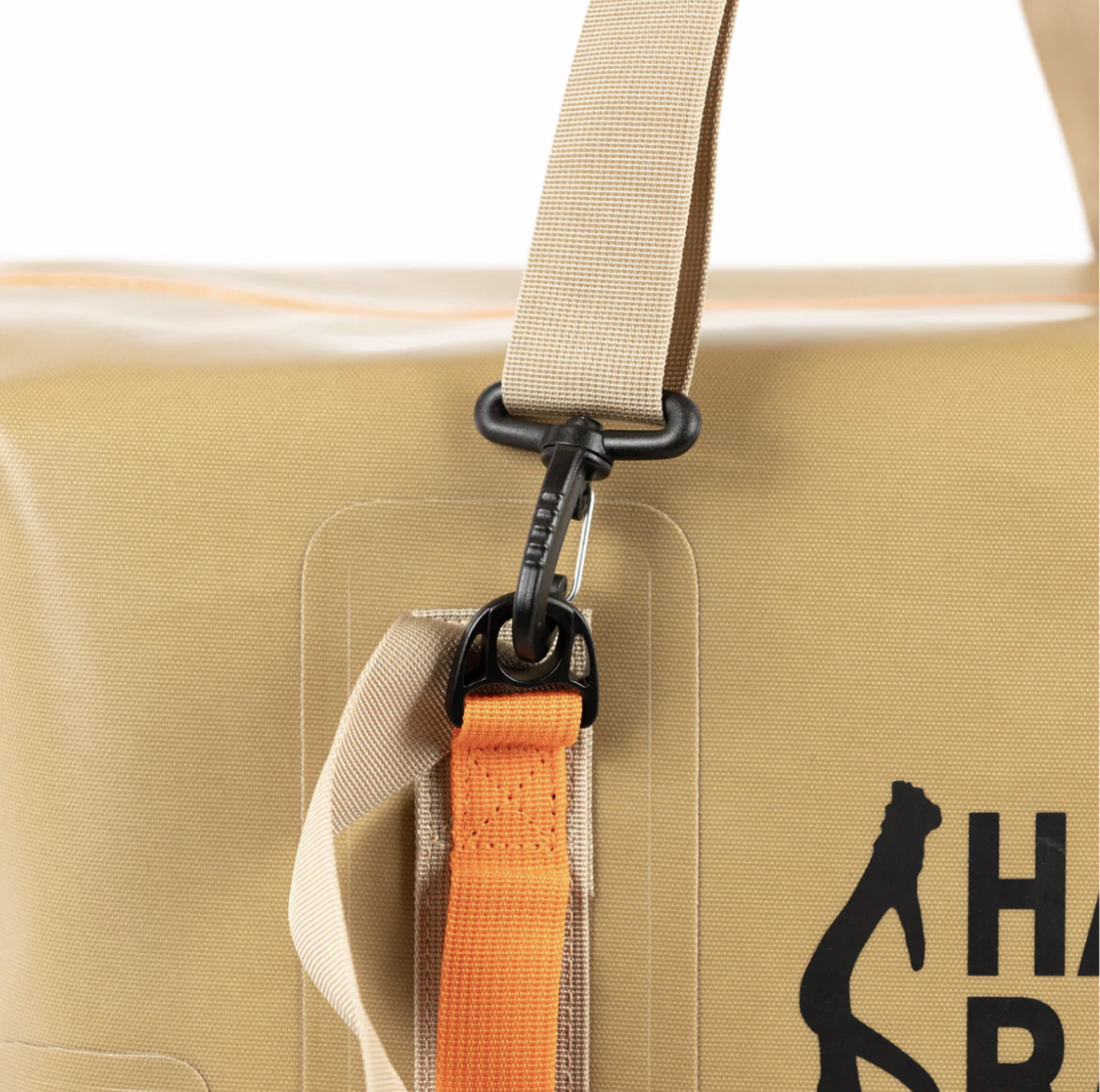 Screen Shot 2025-12-11 at 1.09.49 PM.png