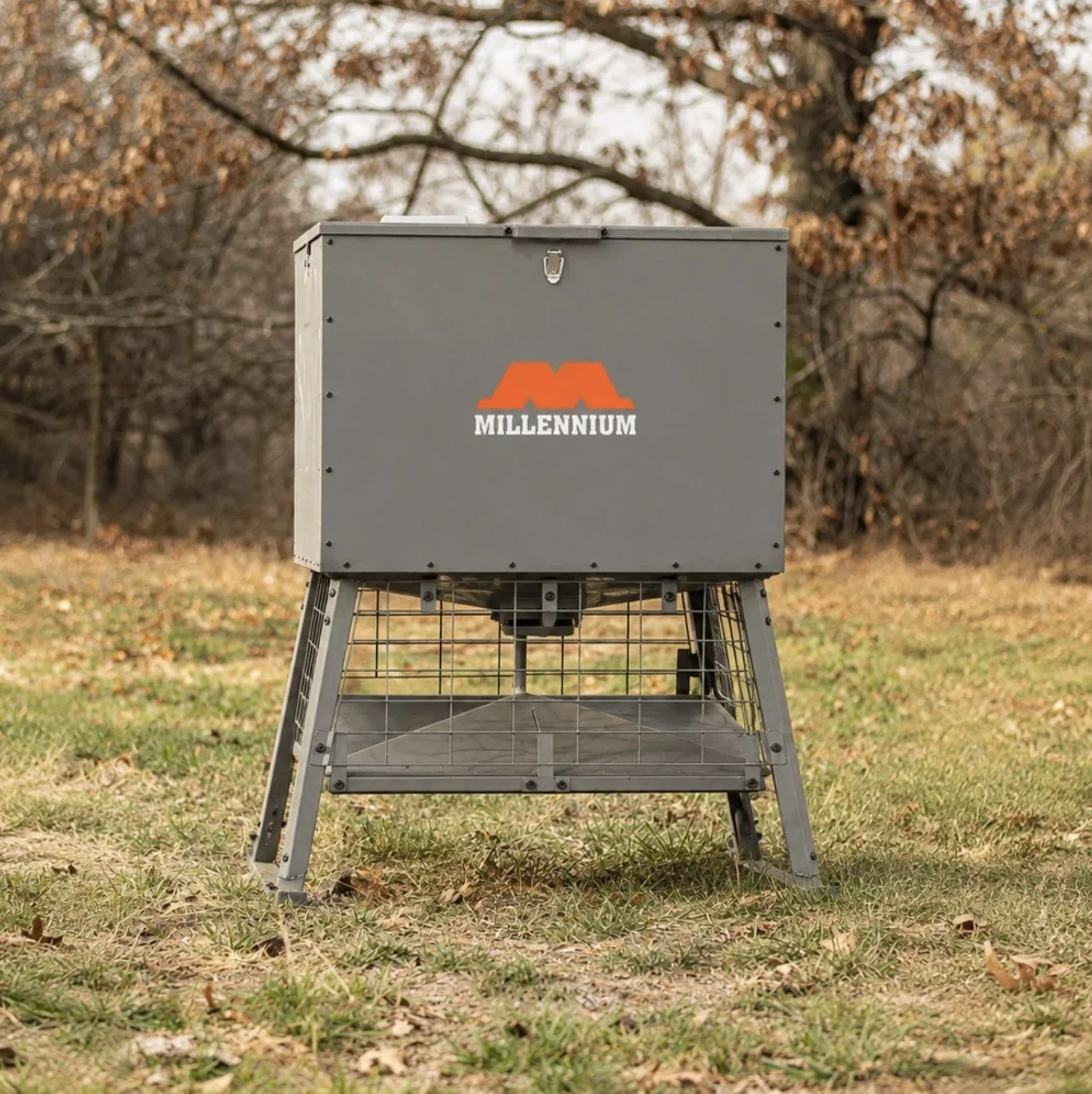Deer feeder at the edge of the timber