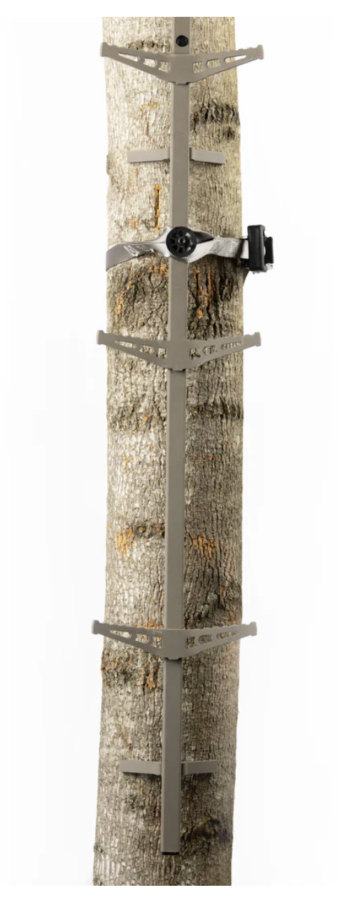 Screenshot 2025-12-11 at 7.42.26 PM.png