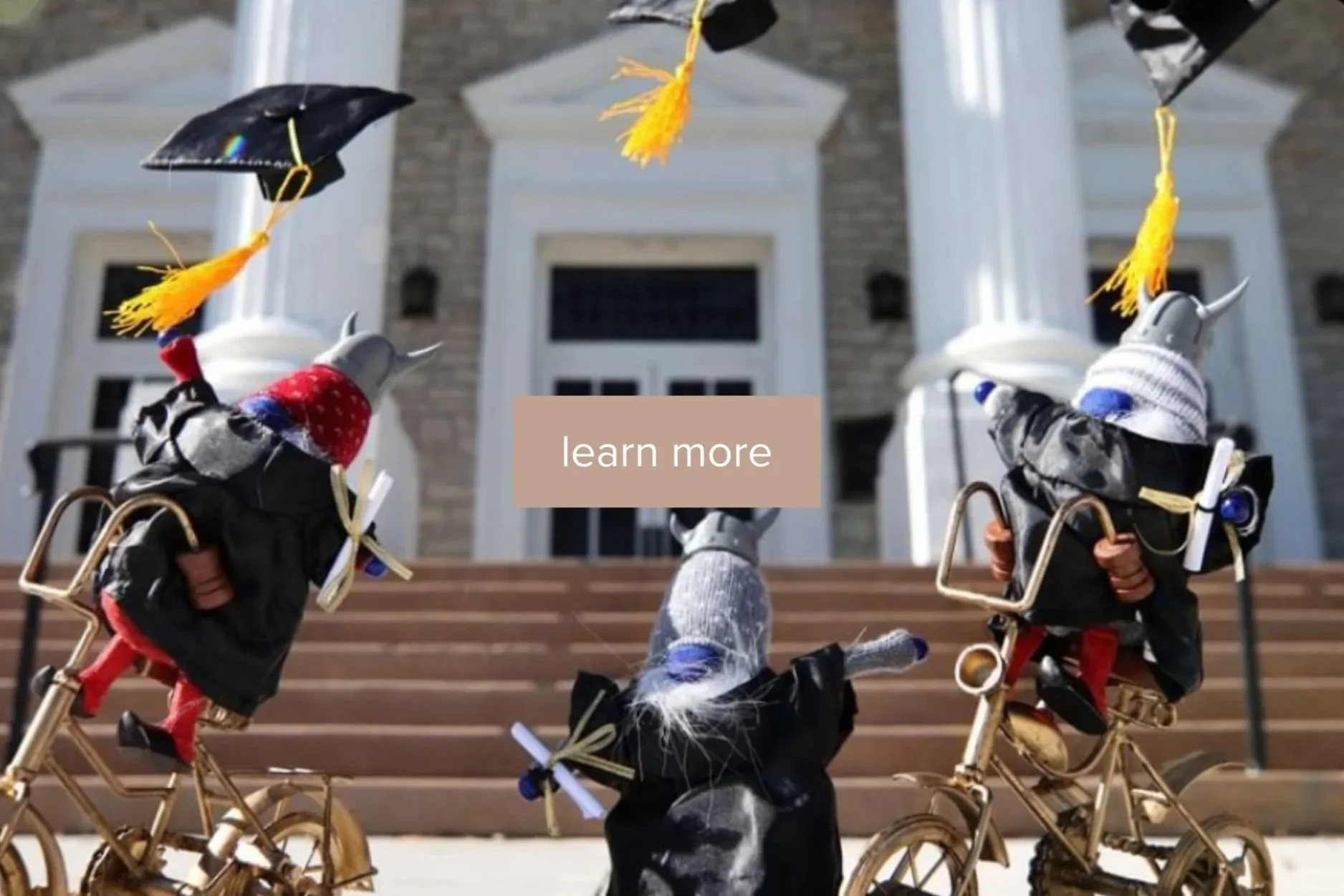 This is Lawrence!