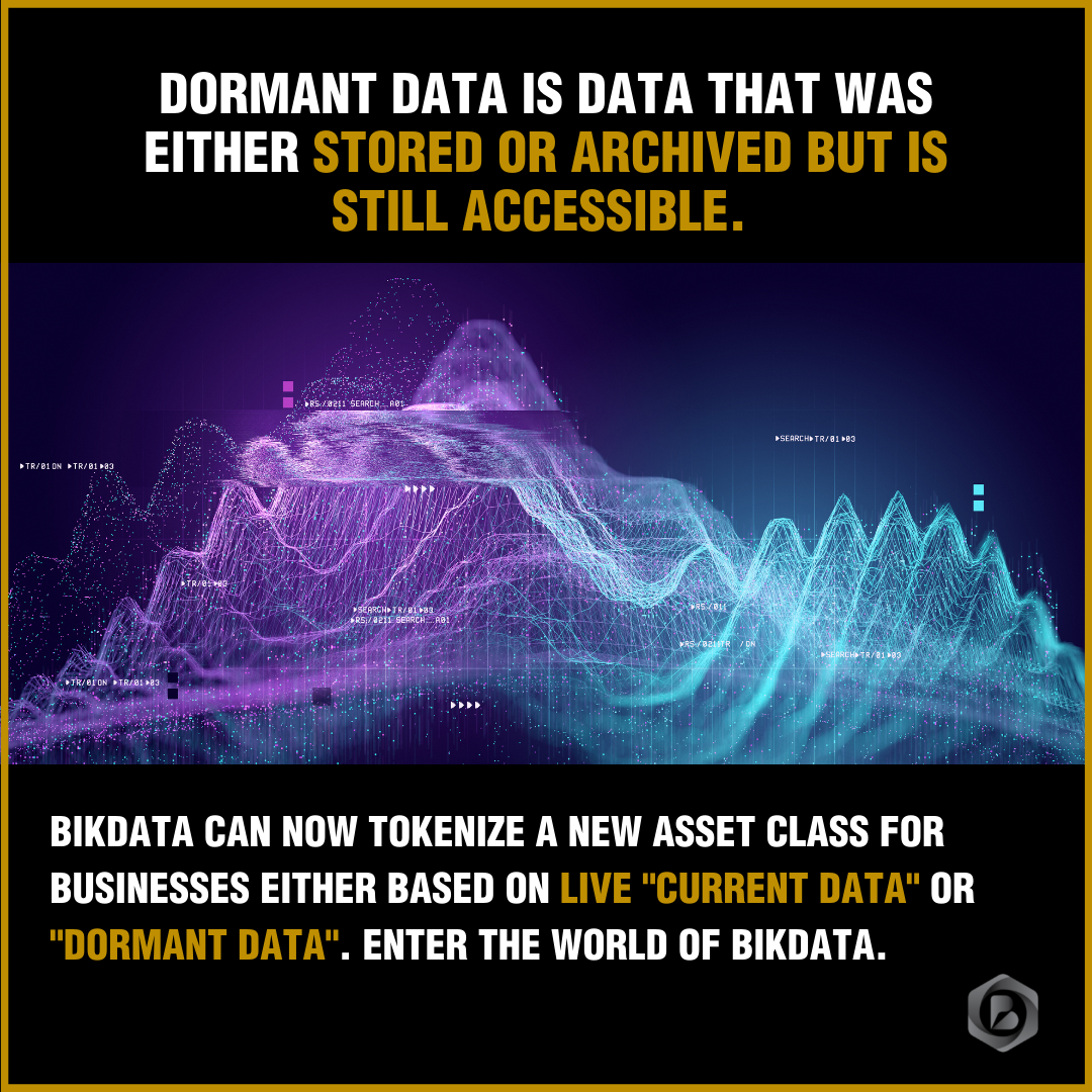 BIKDATA POST 2 (1).png