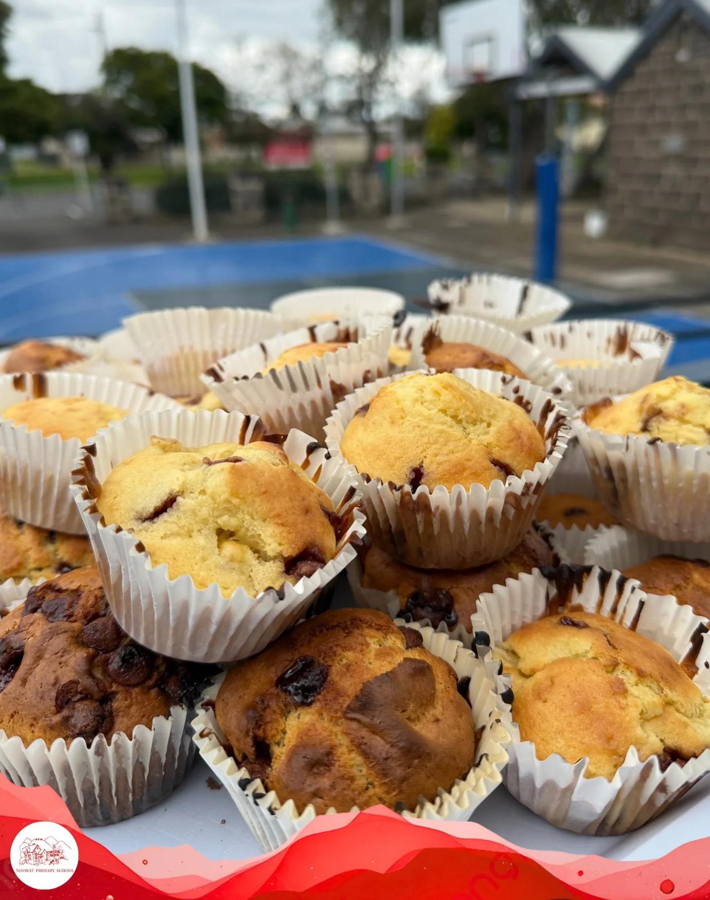 Today our students spent time learning valuable life skills 🌱

🥘 Cooking 
🌿 Gardening
🤝 Collaboration 

It&rsquo;s amazing to see them grow &mdash; not just in knowledge, but in confidence and community ❤️

#NotableNoorat
