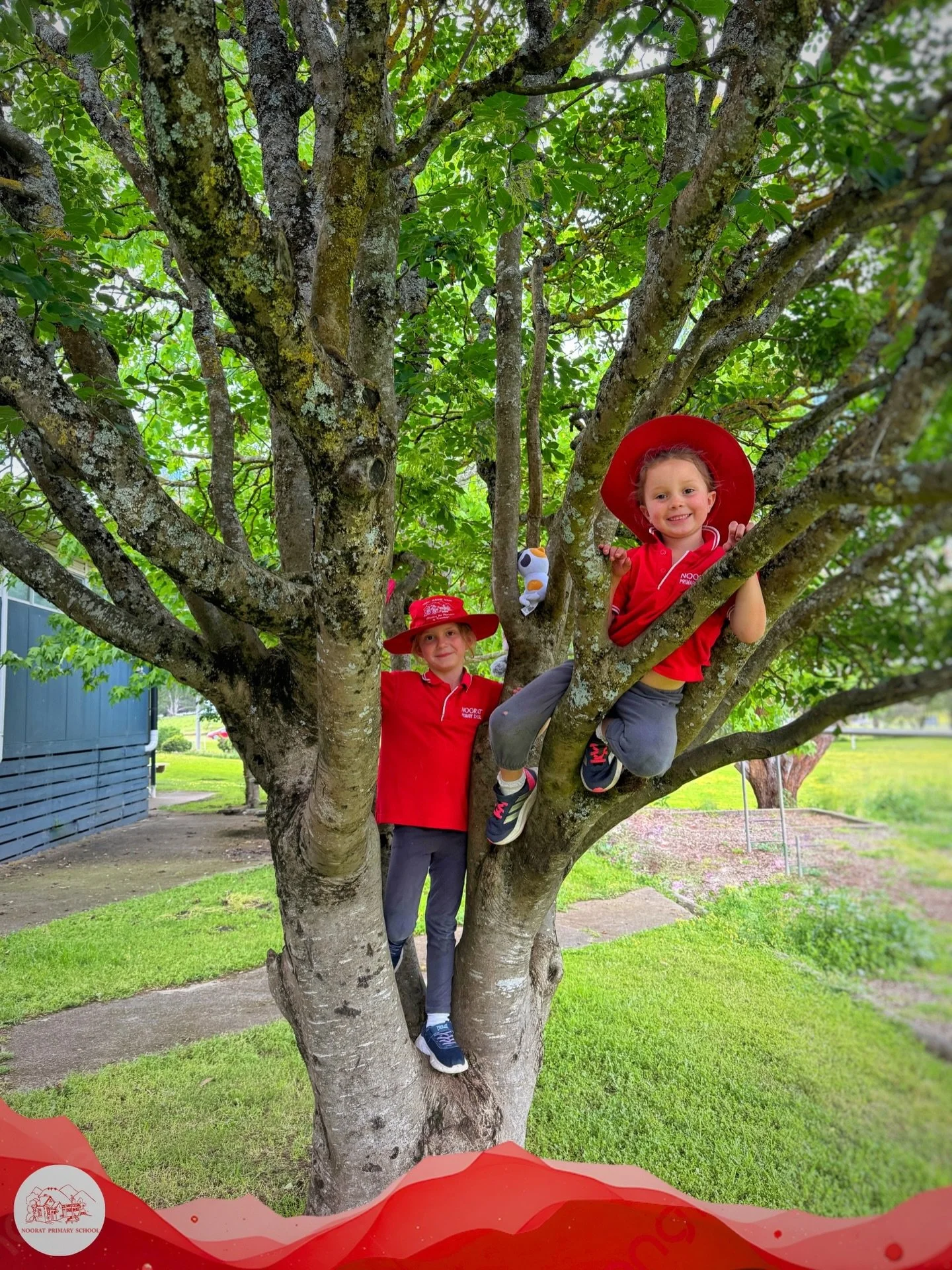 Is there anything more m&aring;g&iuml;&cent;&aring;l than climbing a tree?! 🌳 

#NotableNoorat #ChildhoodMemories