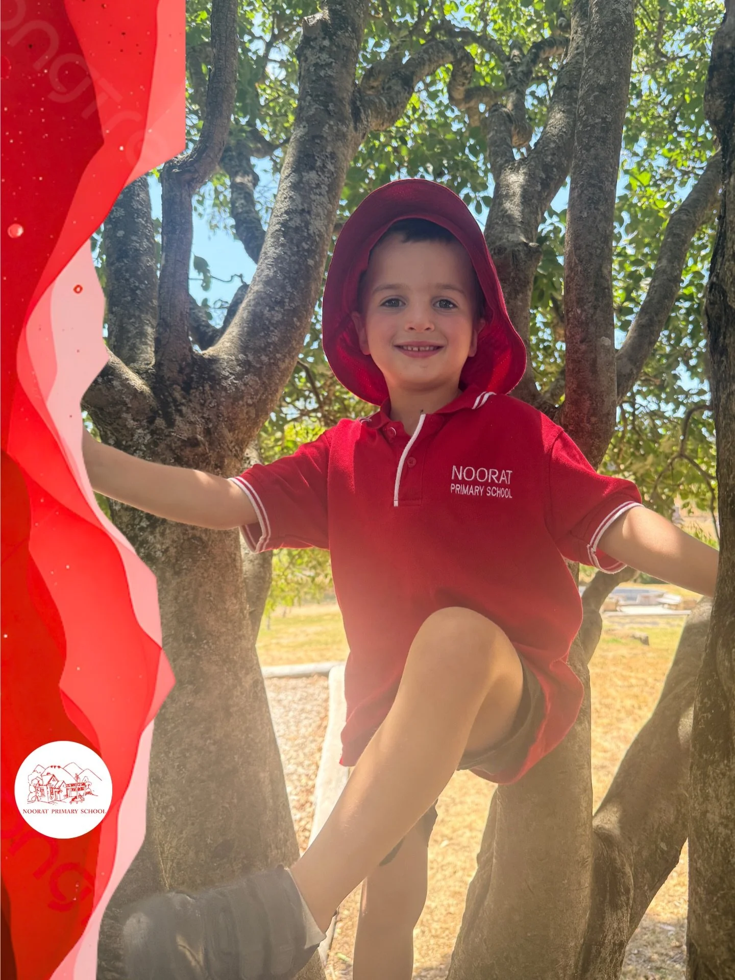 It has been wonderful to welcome Billy and our other new students to Noorat PE this year! 

We know that our brilliant teachers, quality differentiated curriculum and vast facilities make learning engaging and  impactful, while providing a safe and i
