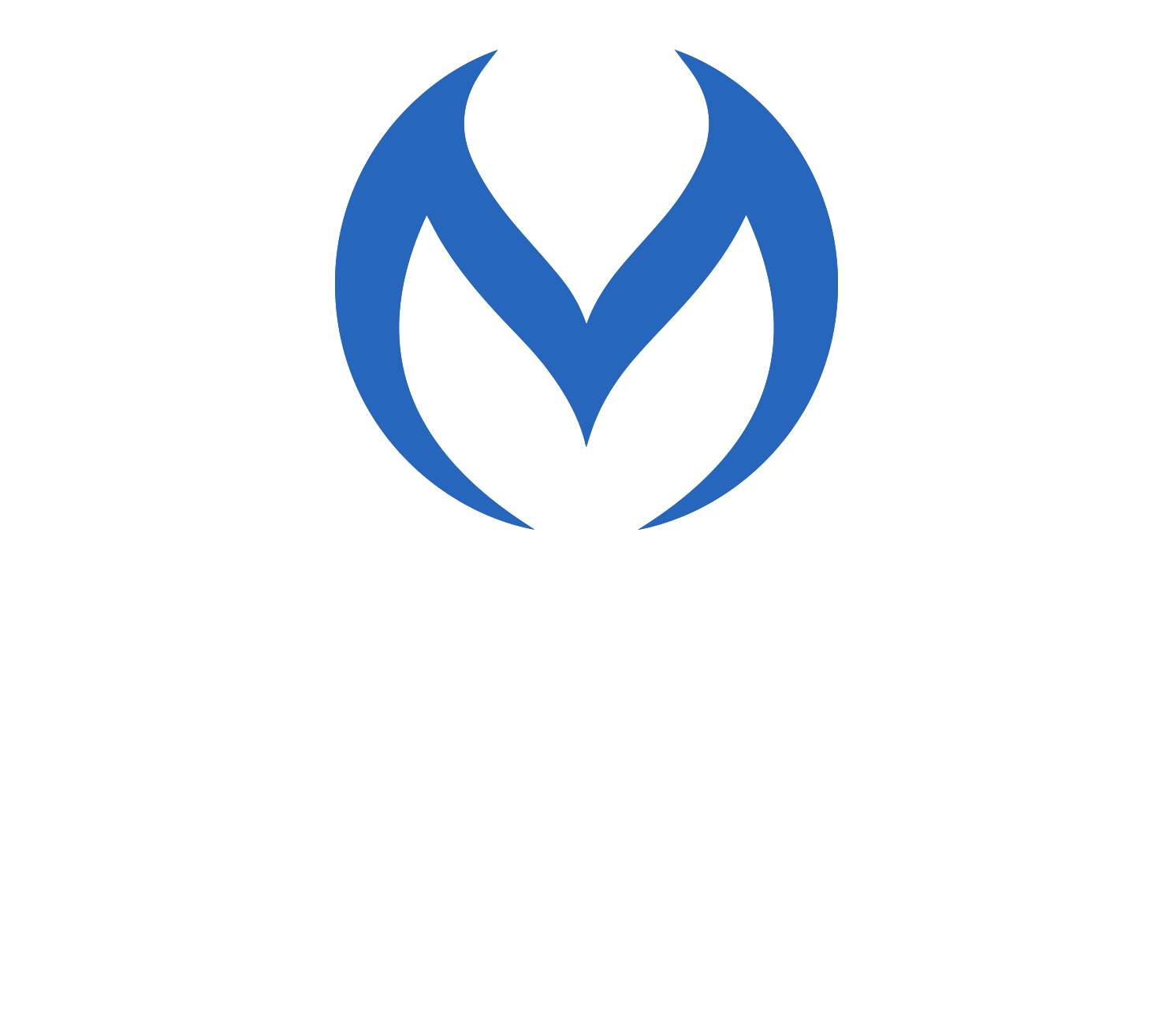 MAVEN GROUP CONSULTING