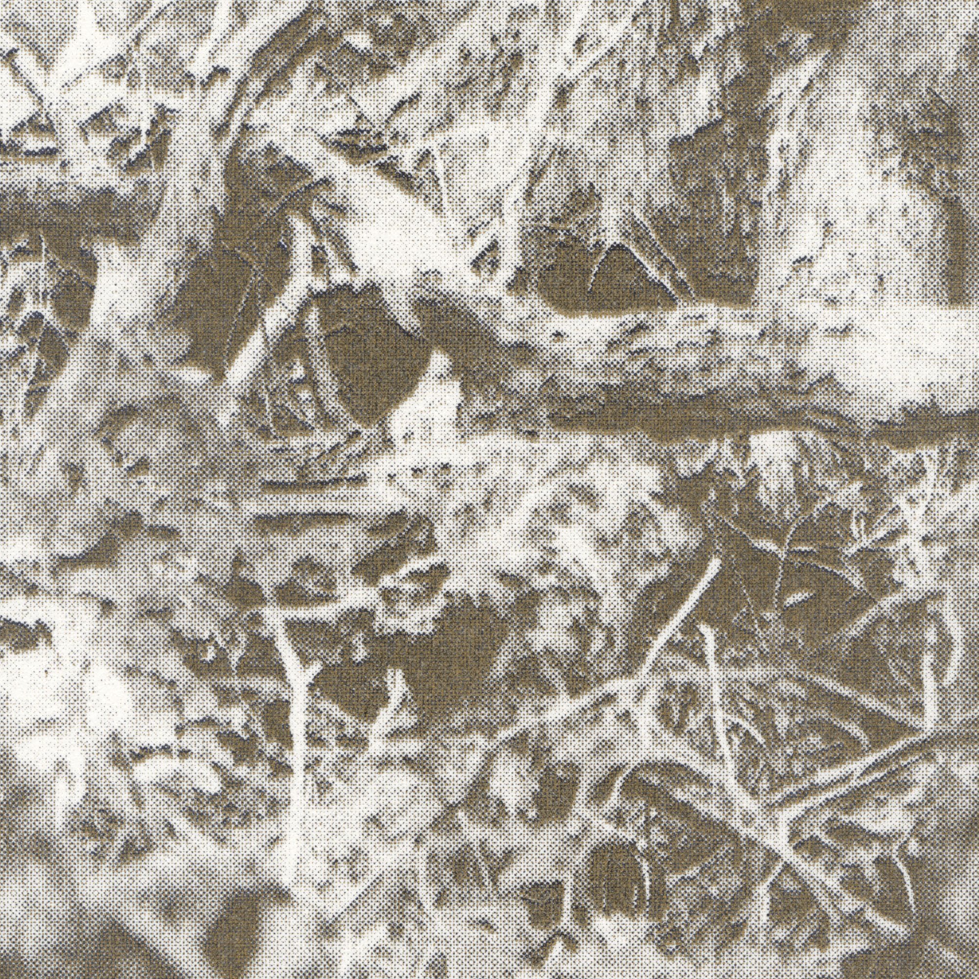 KST_2Color_Forest_DETAIL.jpg