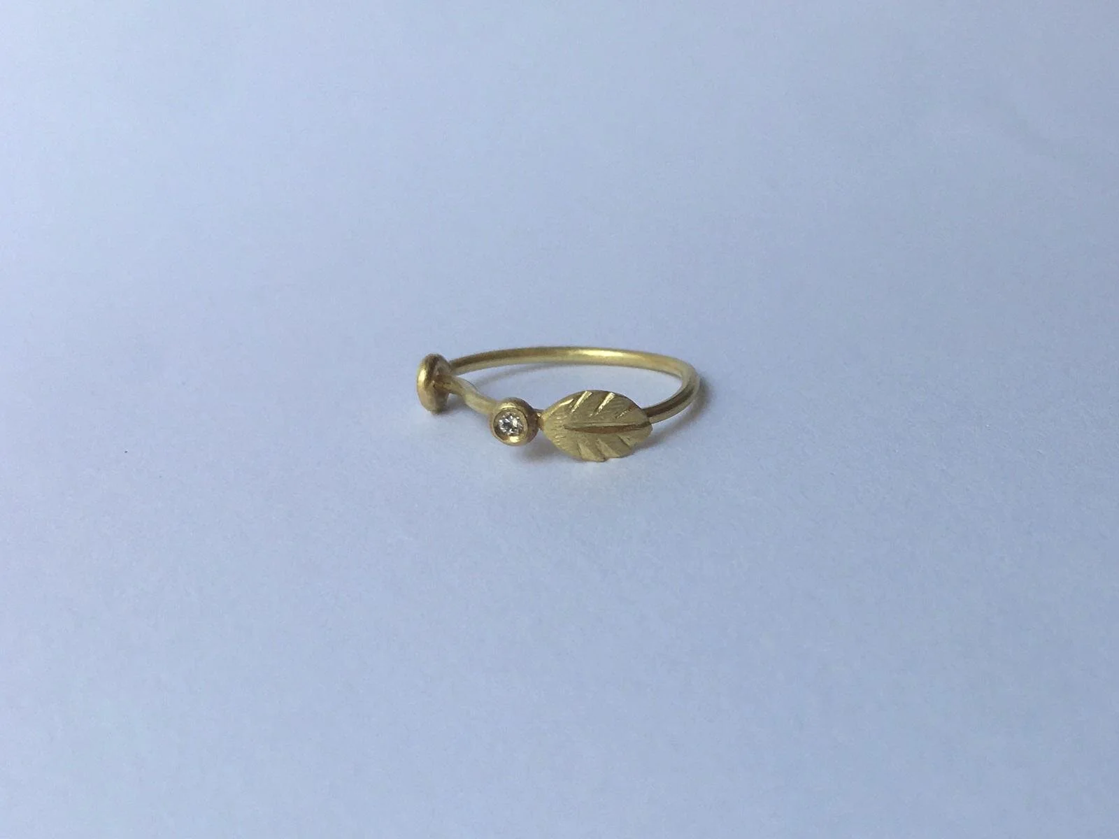 WhatsApp Image 2020-12-07 at 12.04.30 PM.jpeg