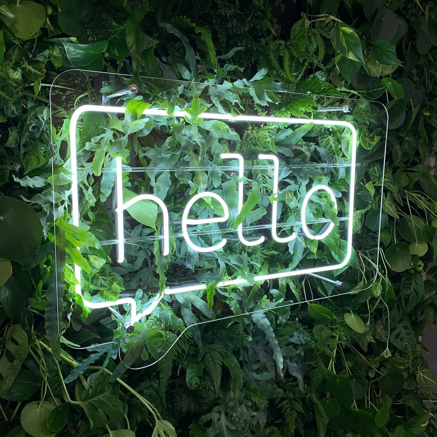 👋 h e l l o 👋

Loved the challenge of setting this one up within a beautiful living wall by @et.al.interiors 👌 Such a pleasure to work with @kbilv.interiors and @maija.biffen on a different and inspiring project 🙌🙌. Real neon lettering plus a be